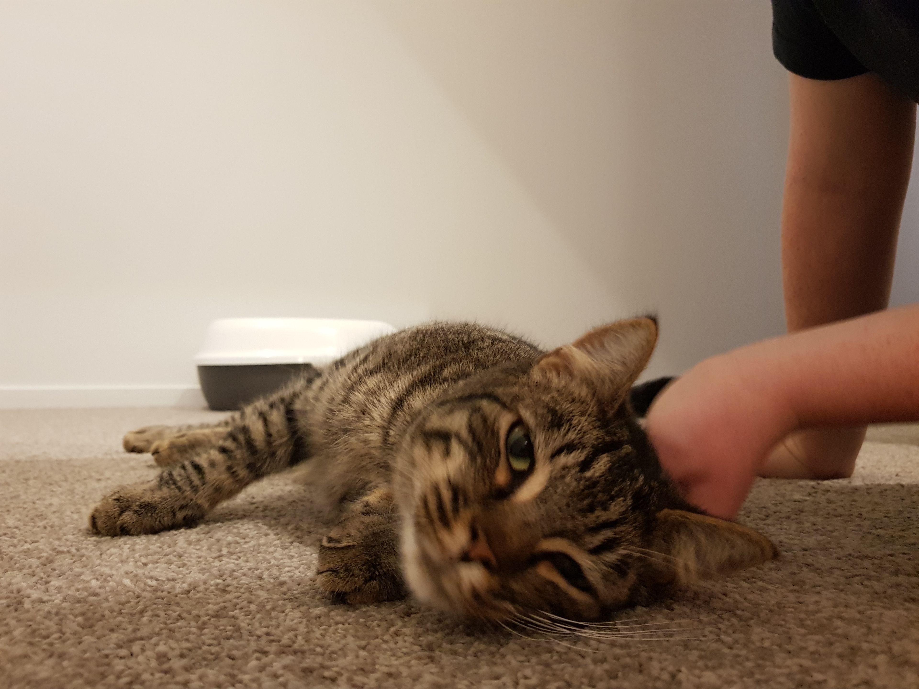 image-8
