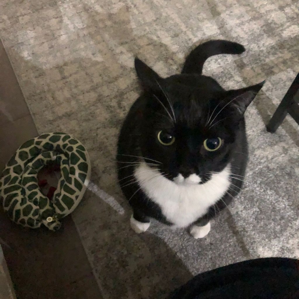Missy