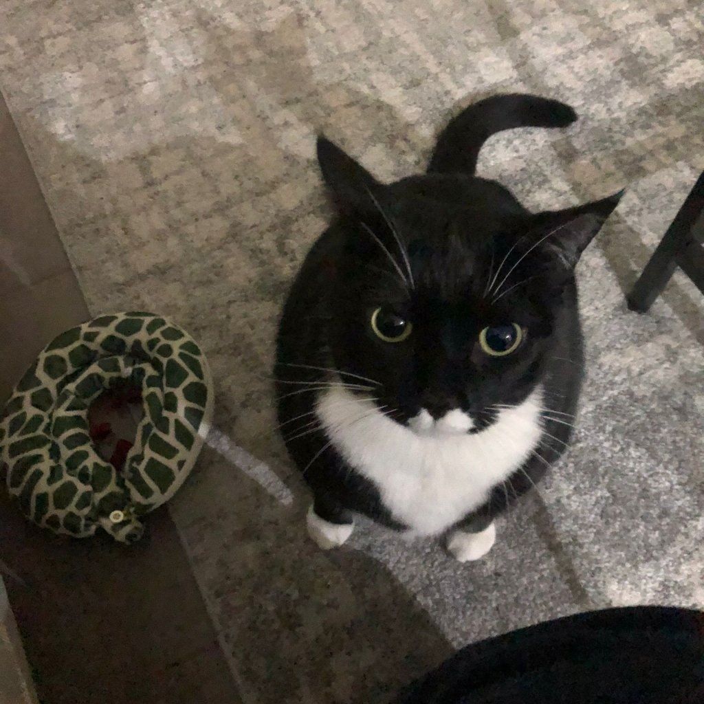 Missy