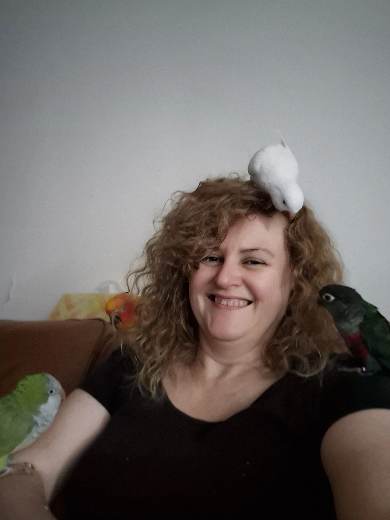 image-0