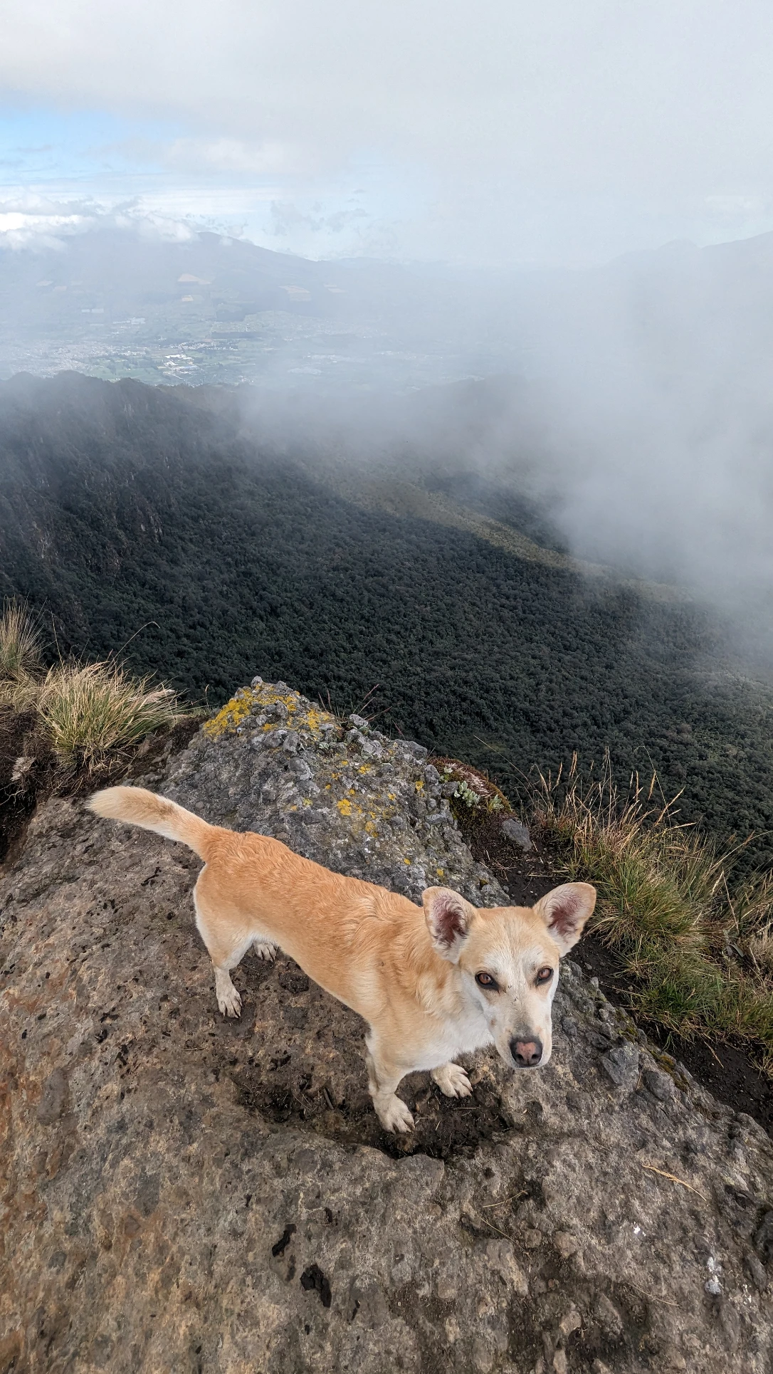 image-10