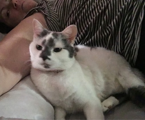 image-35