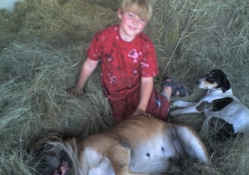 Zepplin & Scoob