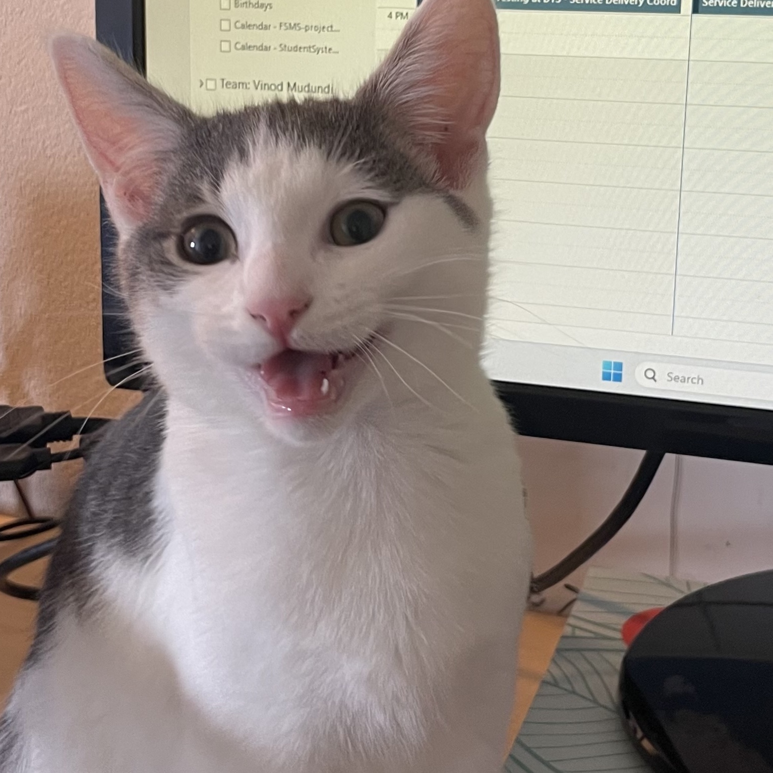 Miso 