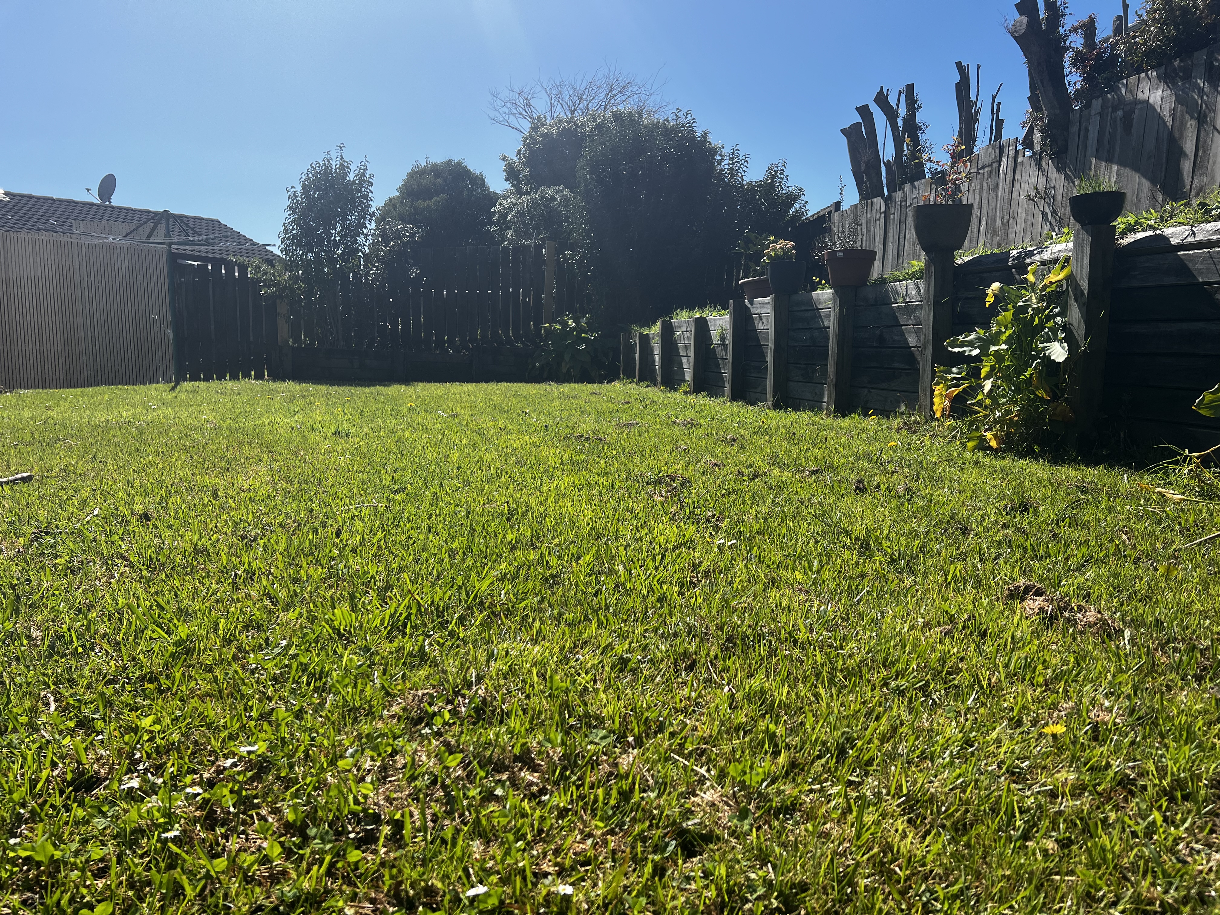image-16