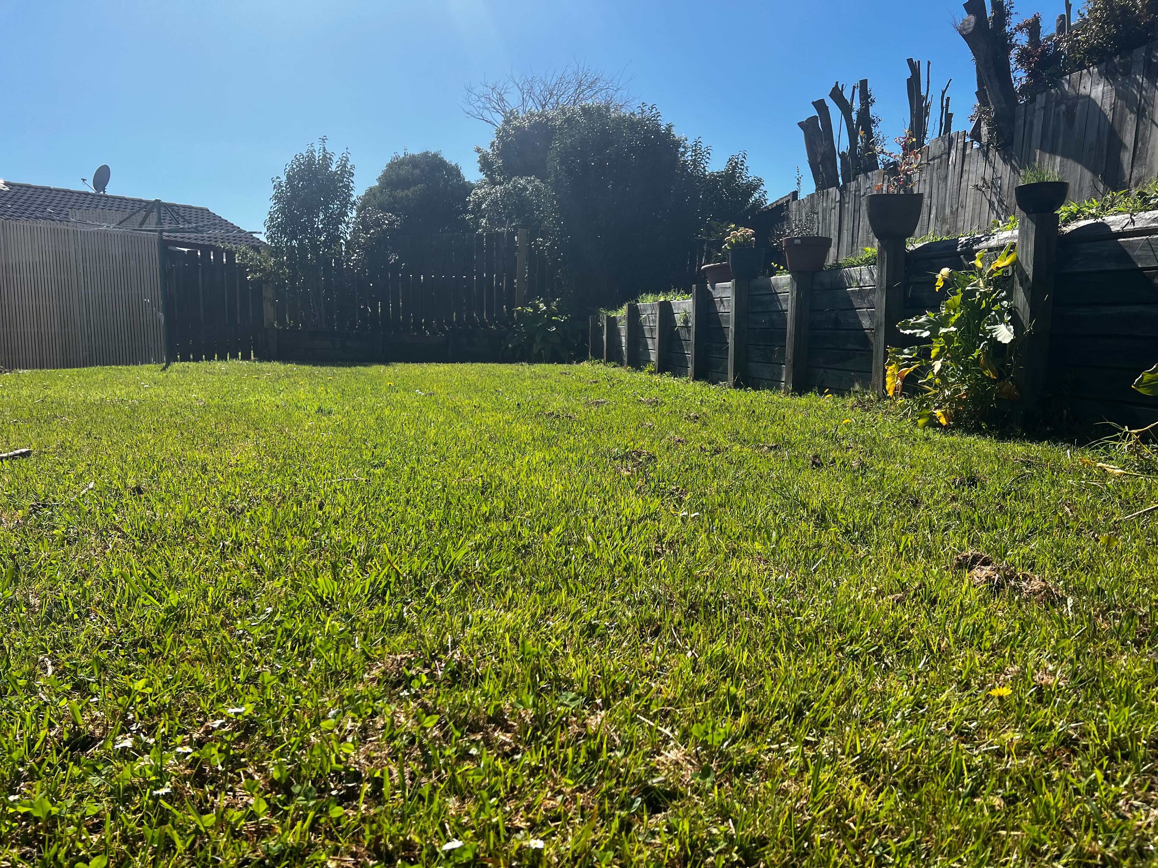 image-16