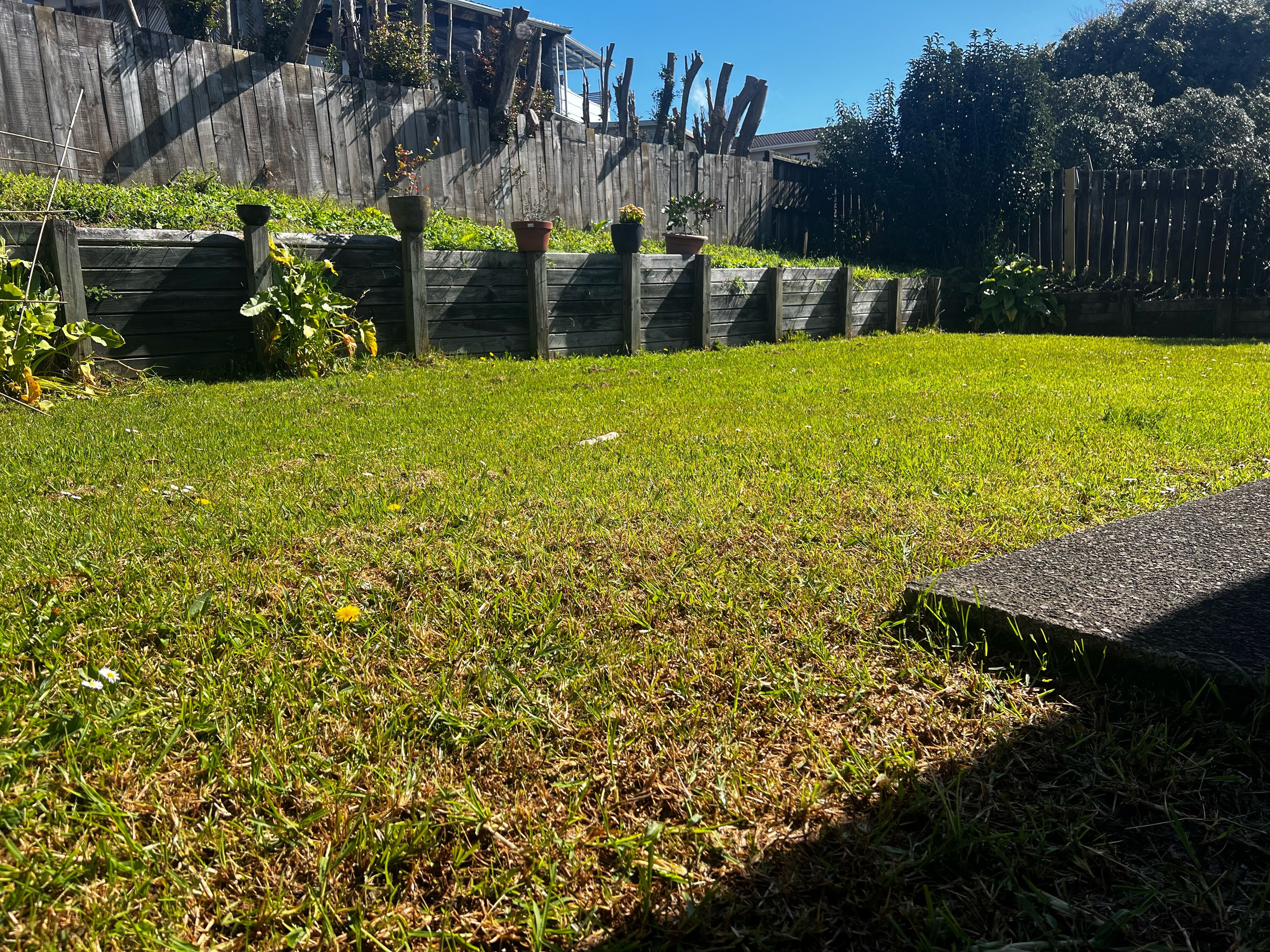 image-18