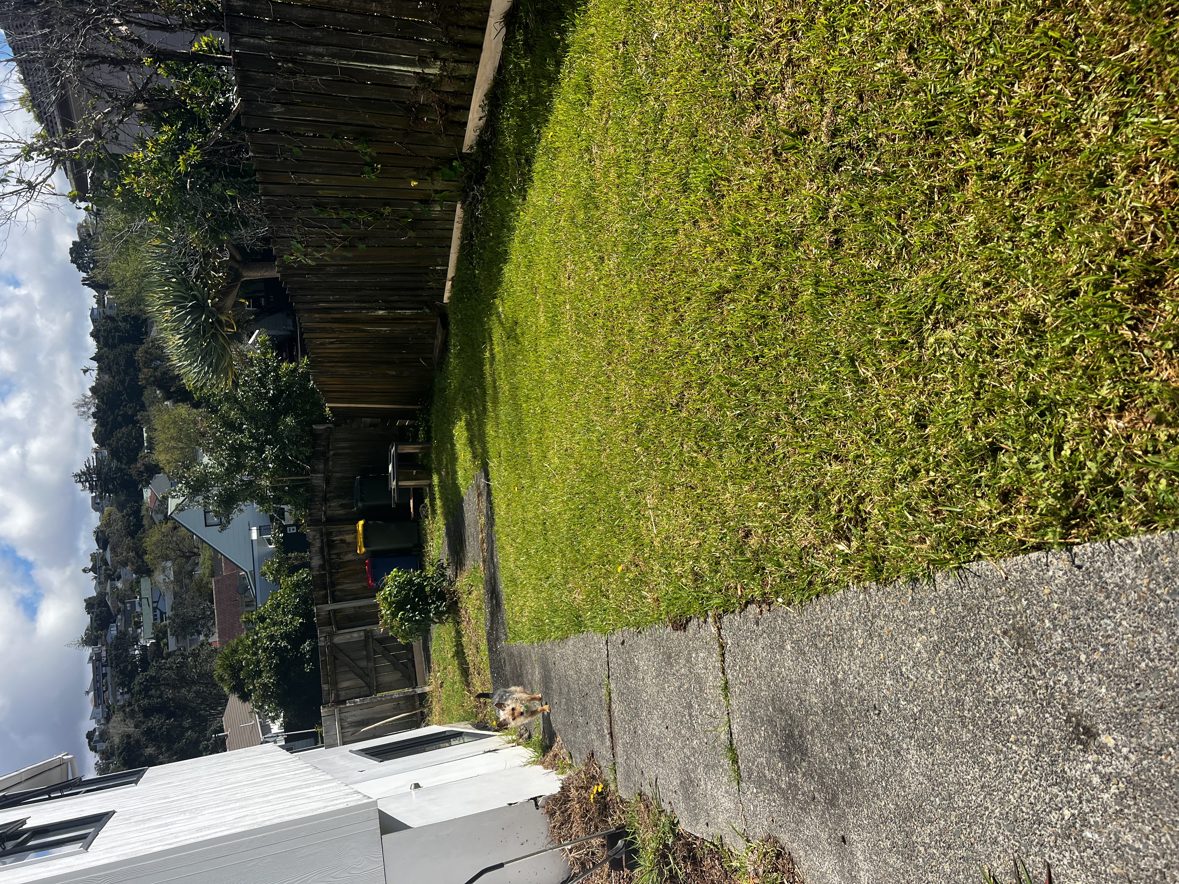 image-17