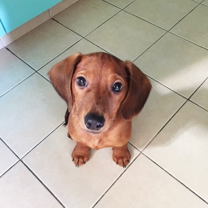 Frankie