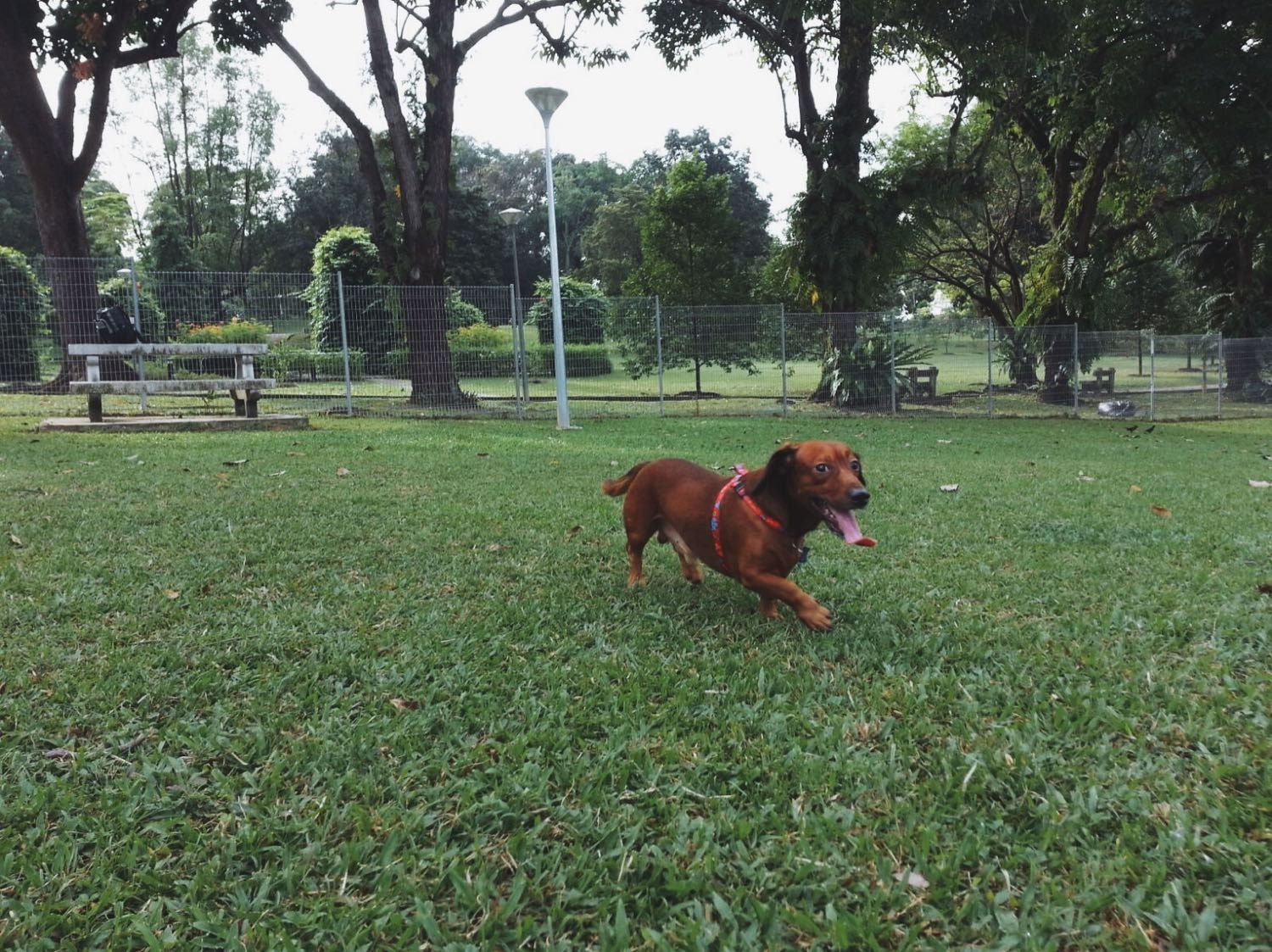 image-5