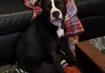 Floyd