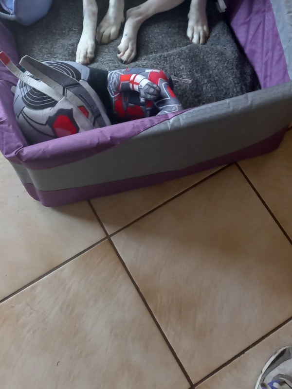 image-2