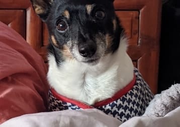 Benson