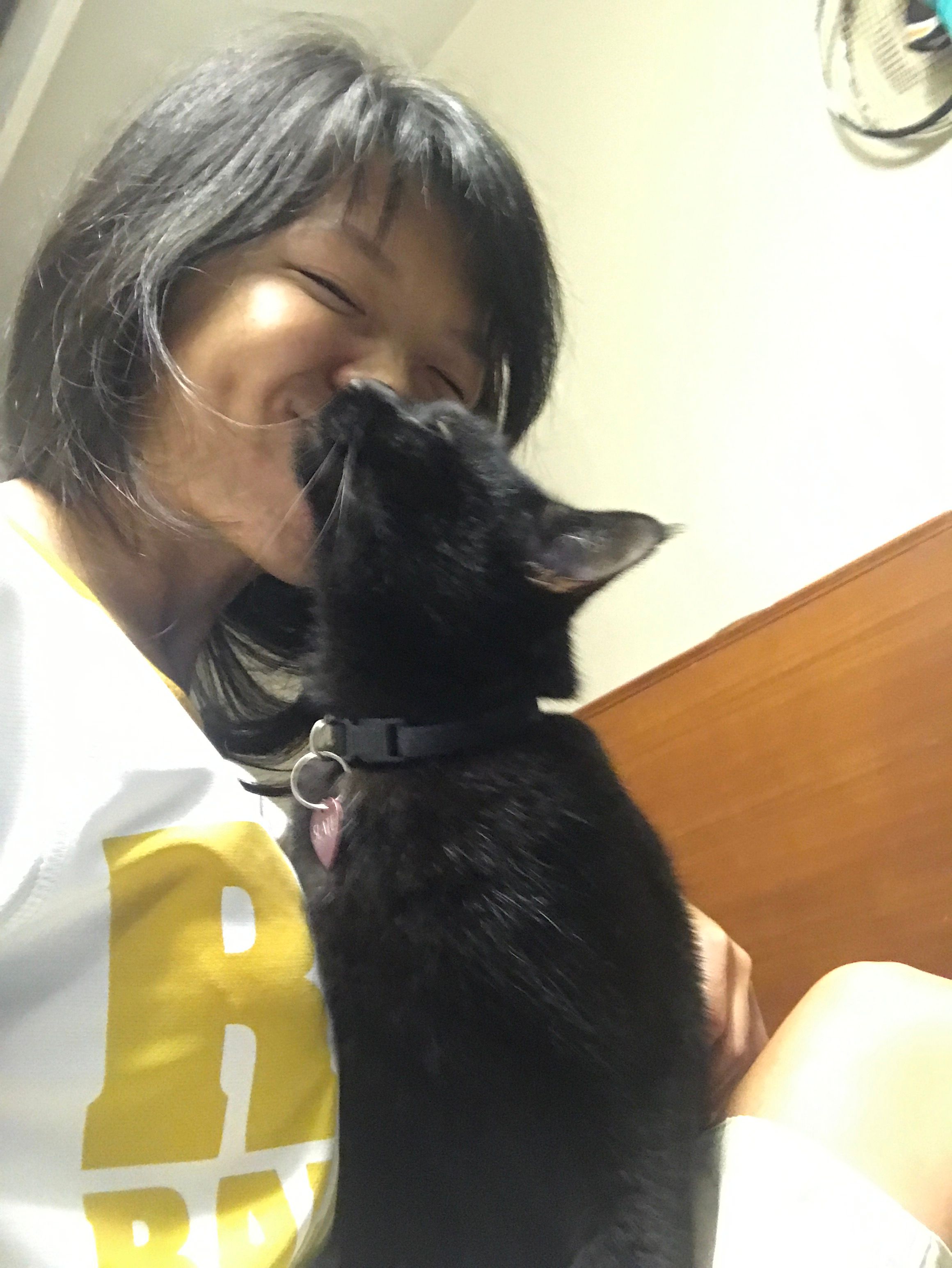 image-8