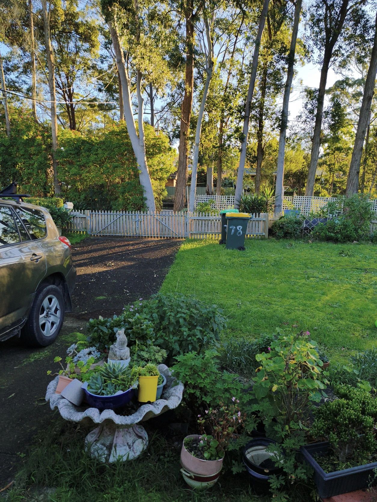 image-3
