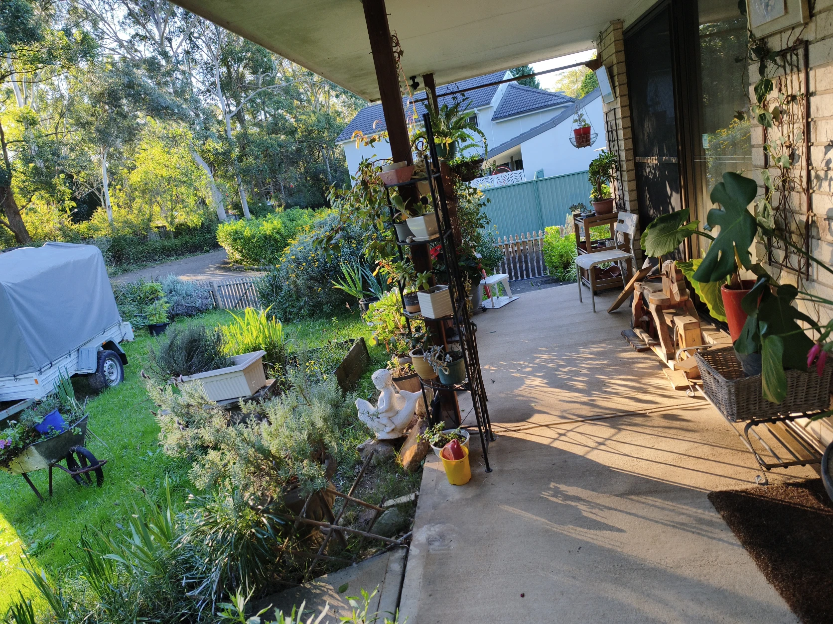 image-5