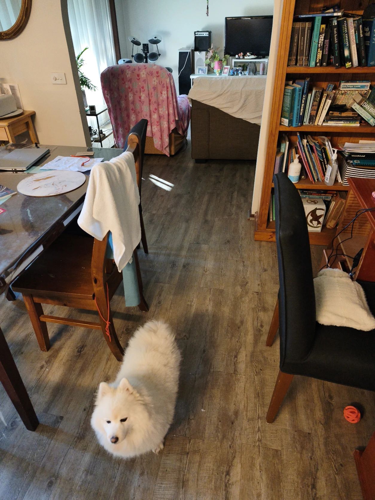 image-4