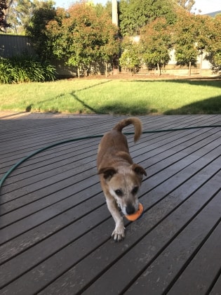 image-6