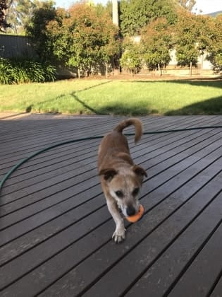 image-6