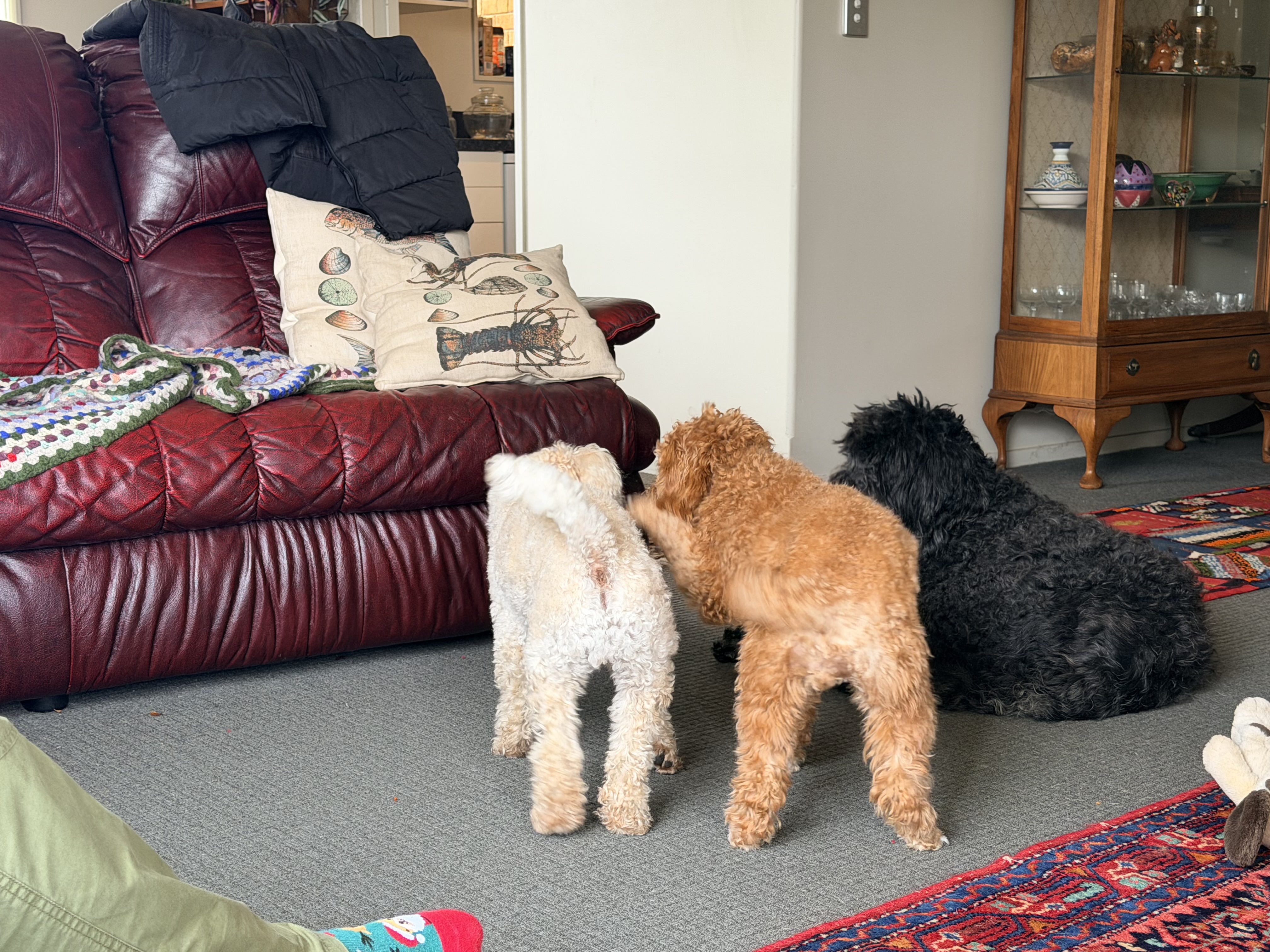 image-10