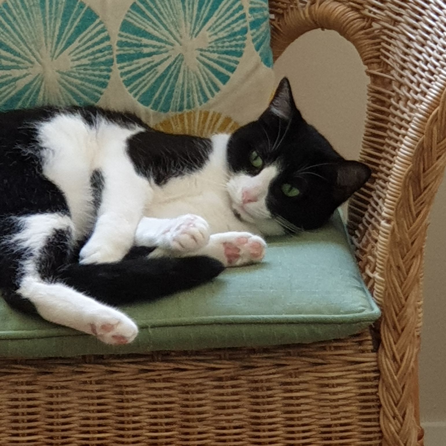 Circe (pronounced Sir-see)