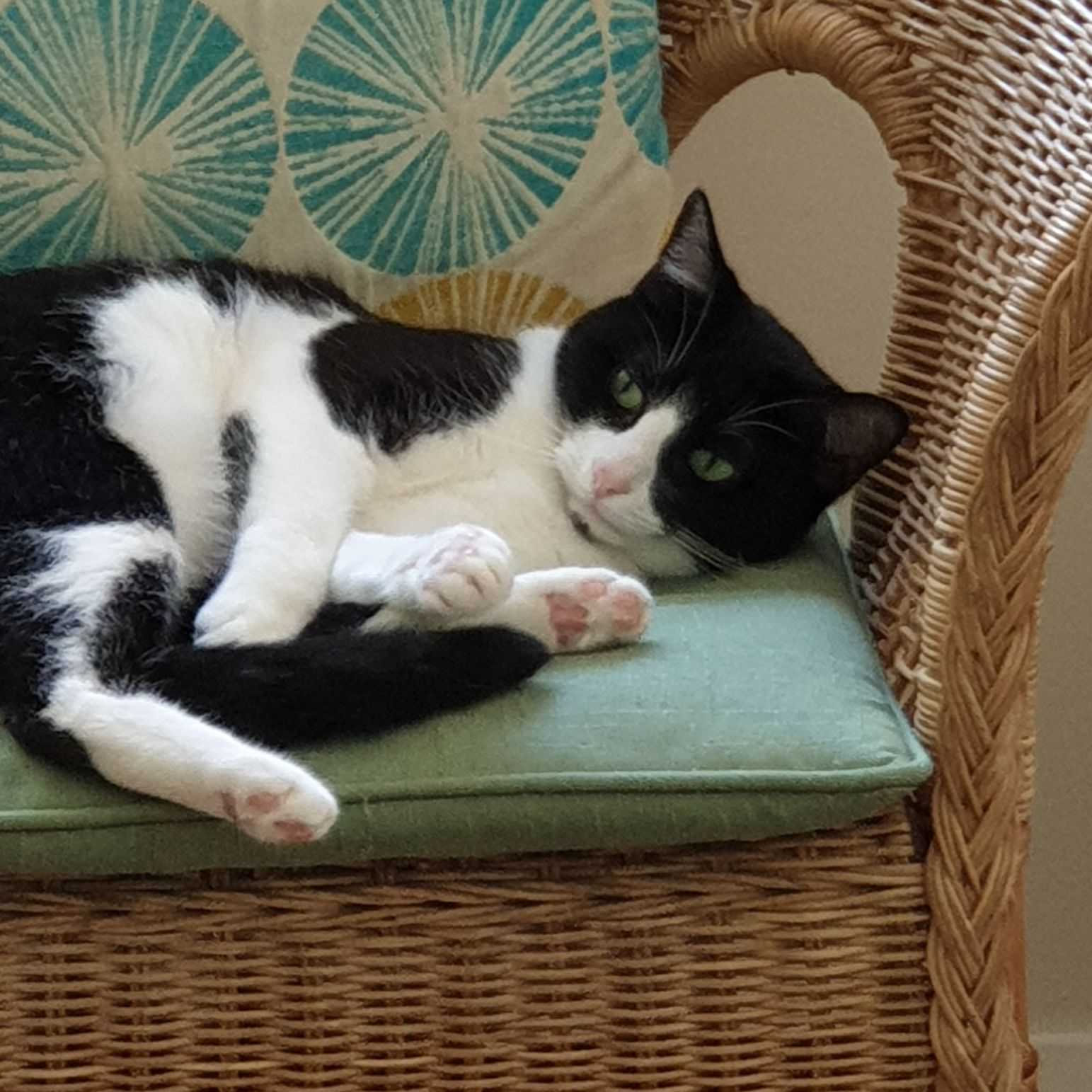 Circe (pronounced Sir-see)