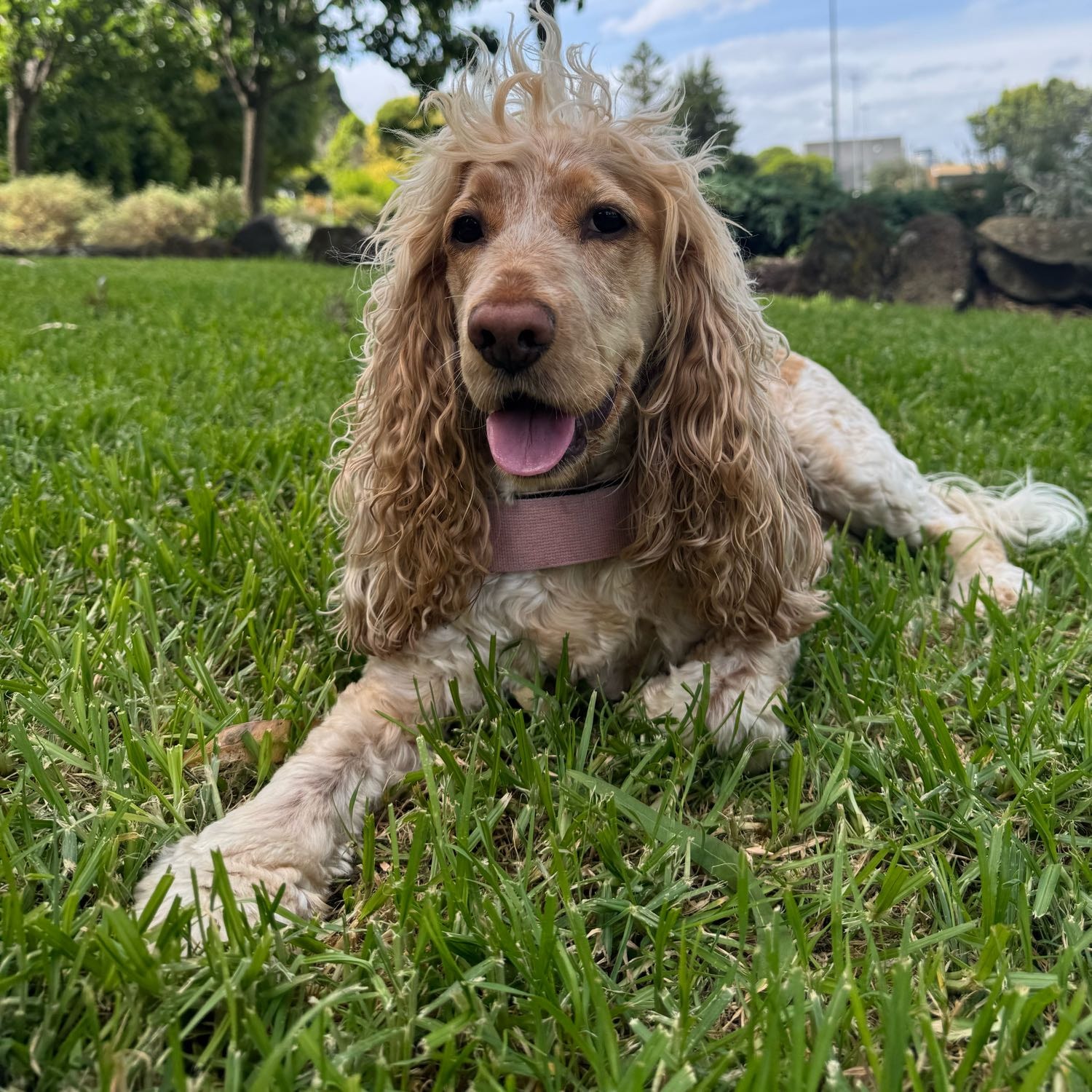 Sadie