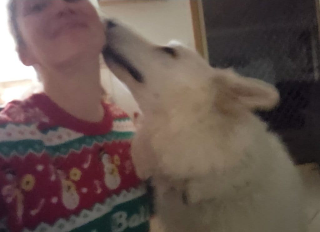 image-8