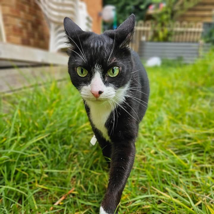 Tilly