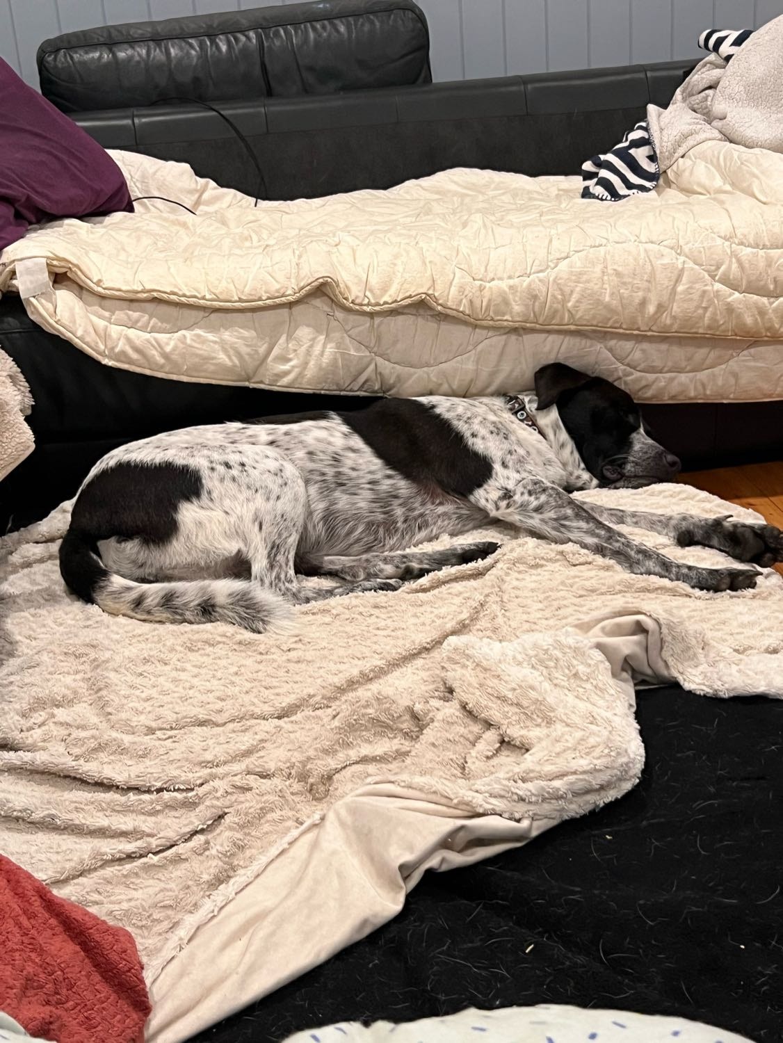 image-7