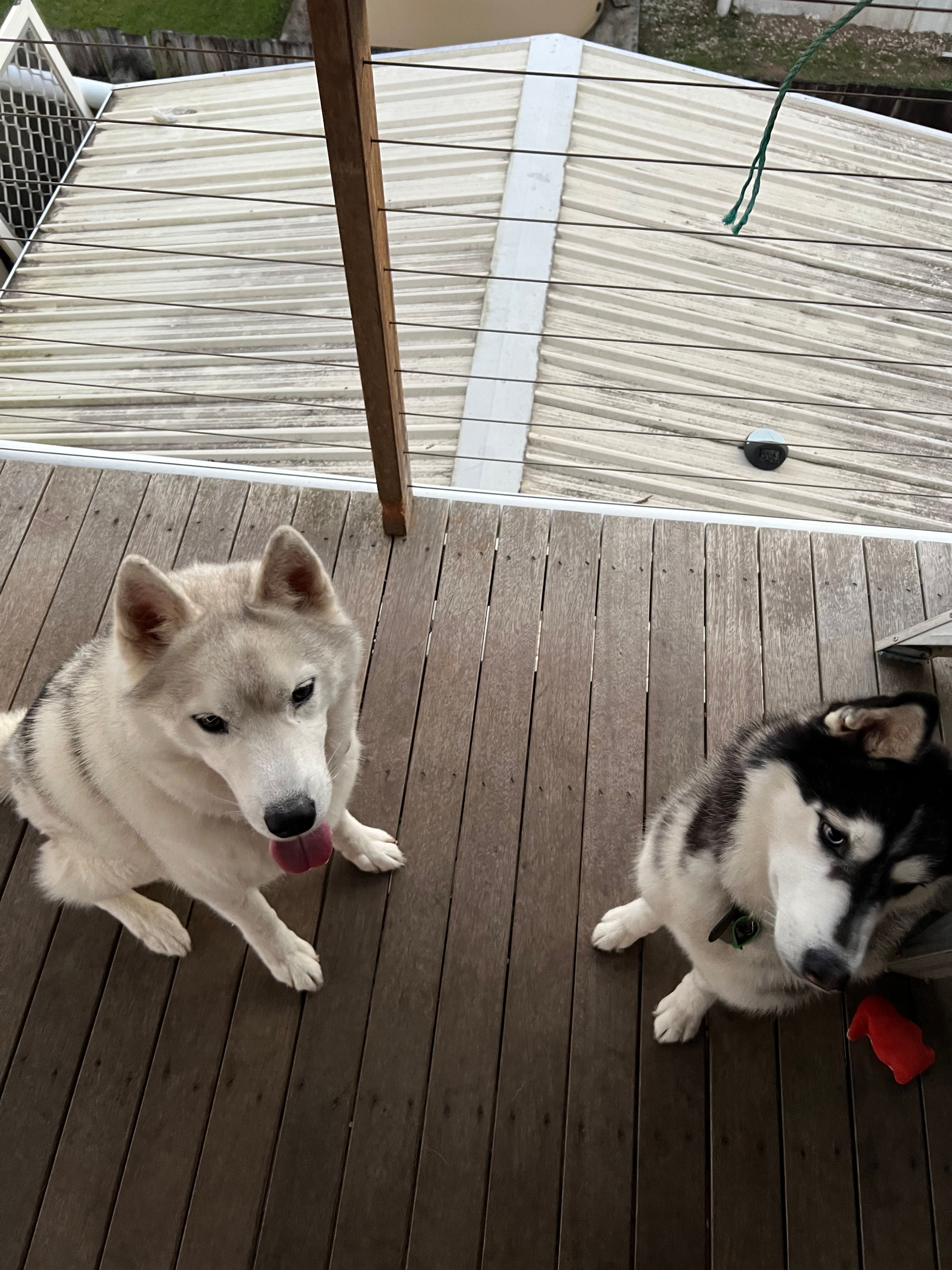 image-16