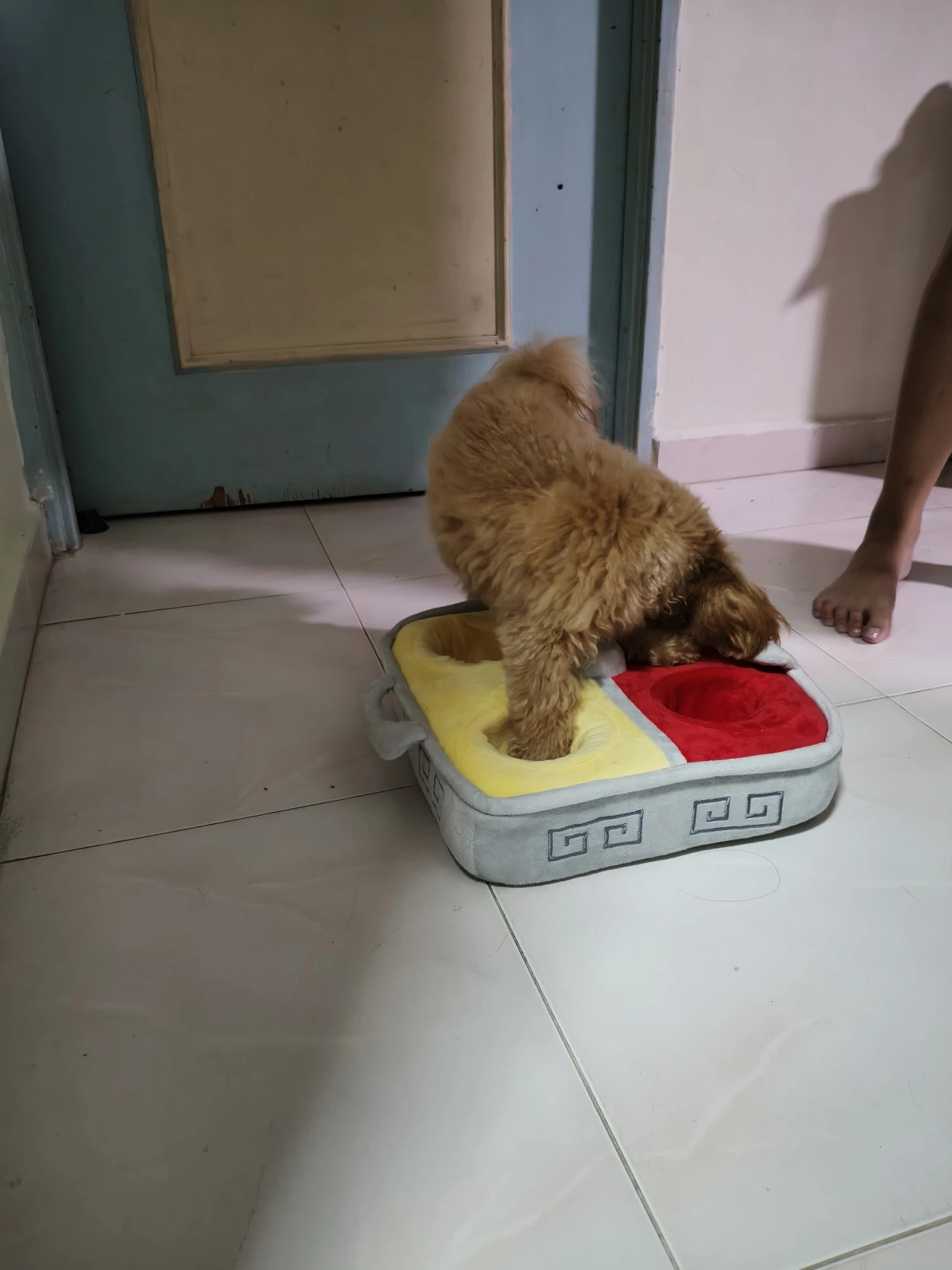 image-20