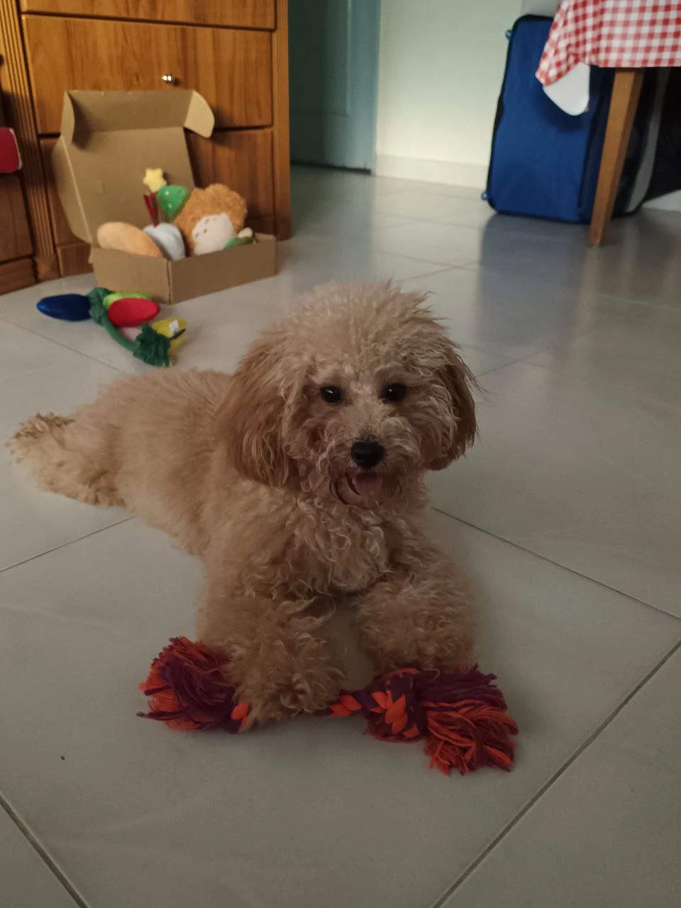 image-18