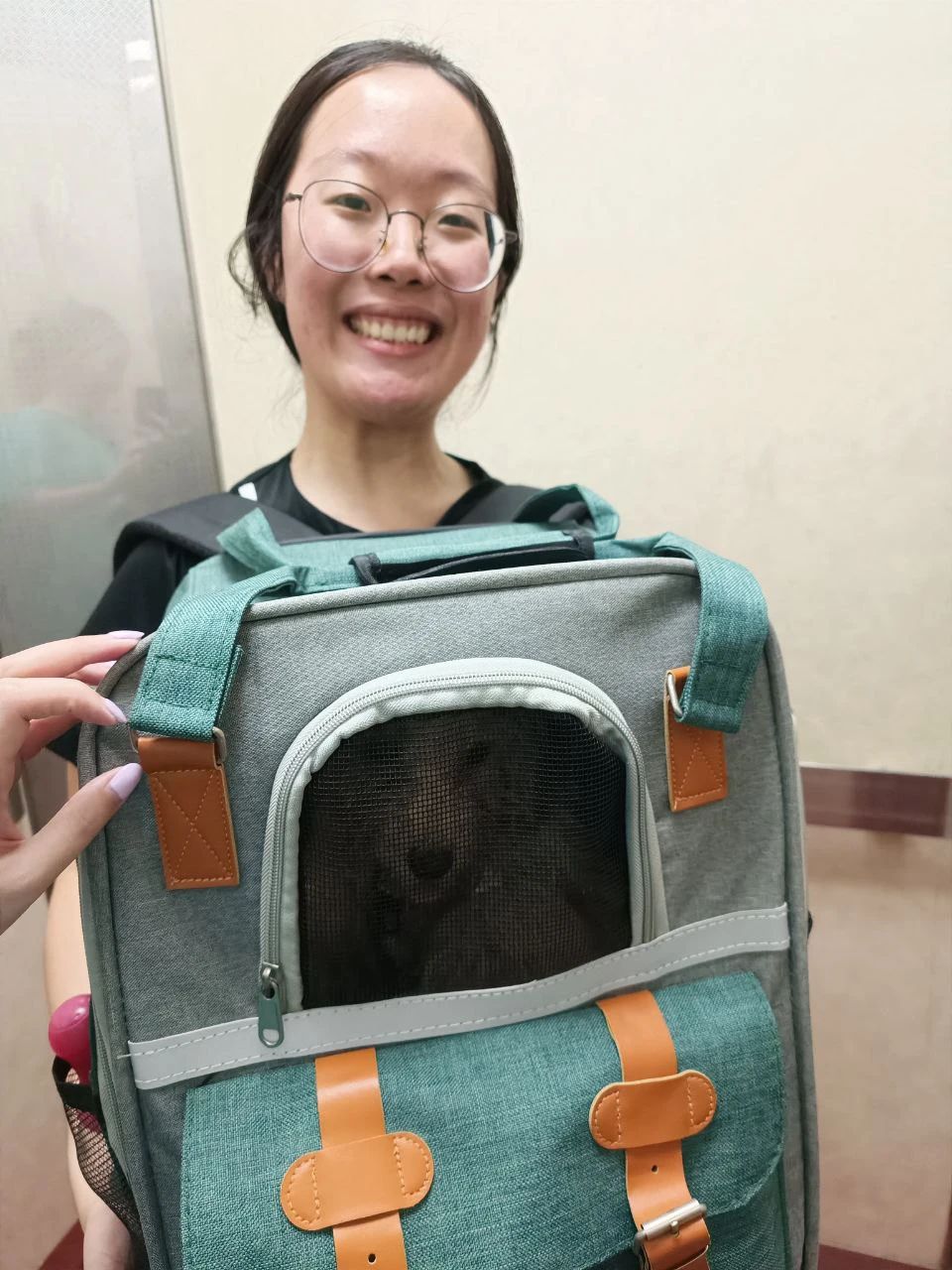 image-9