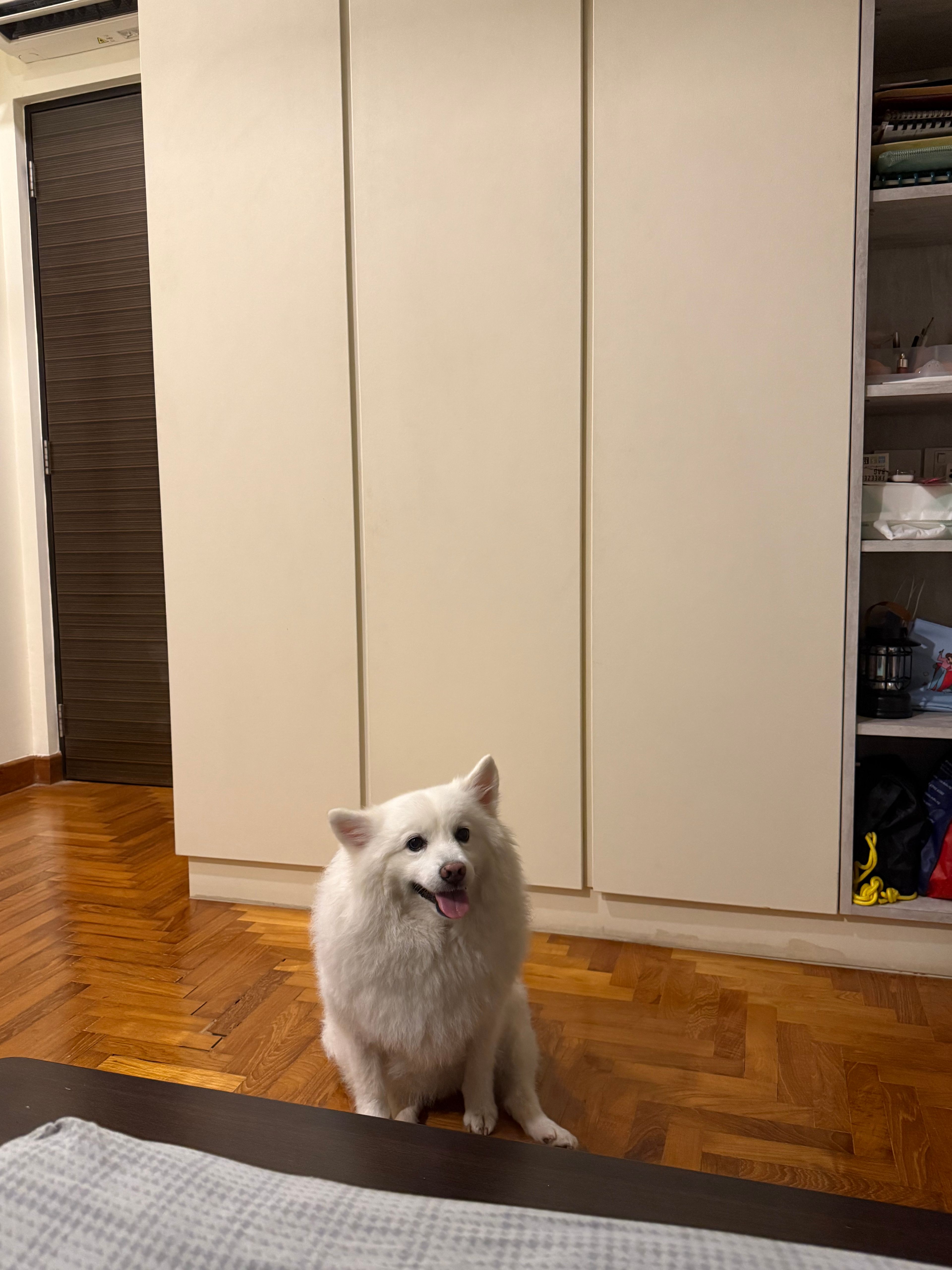 image-11
