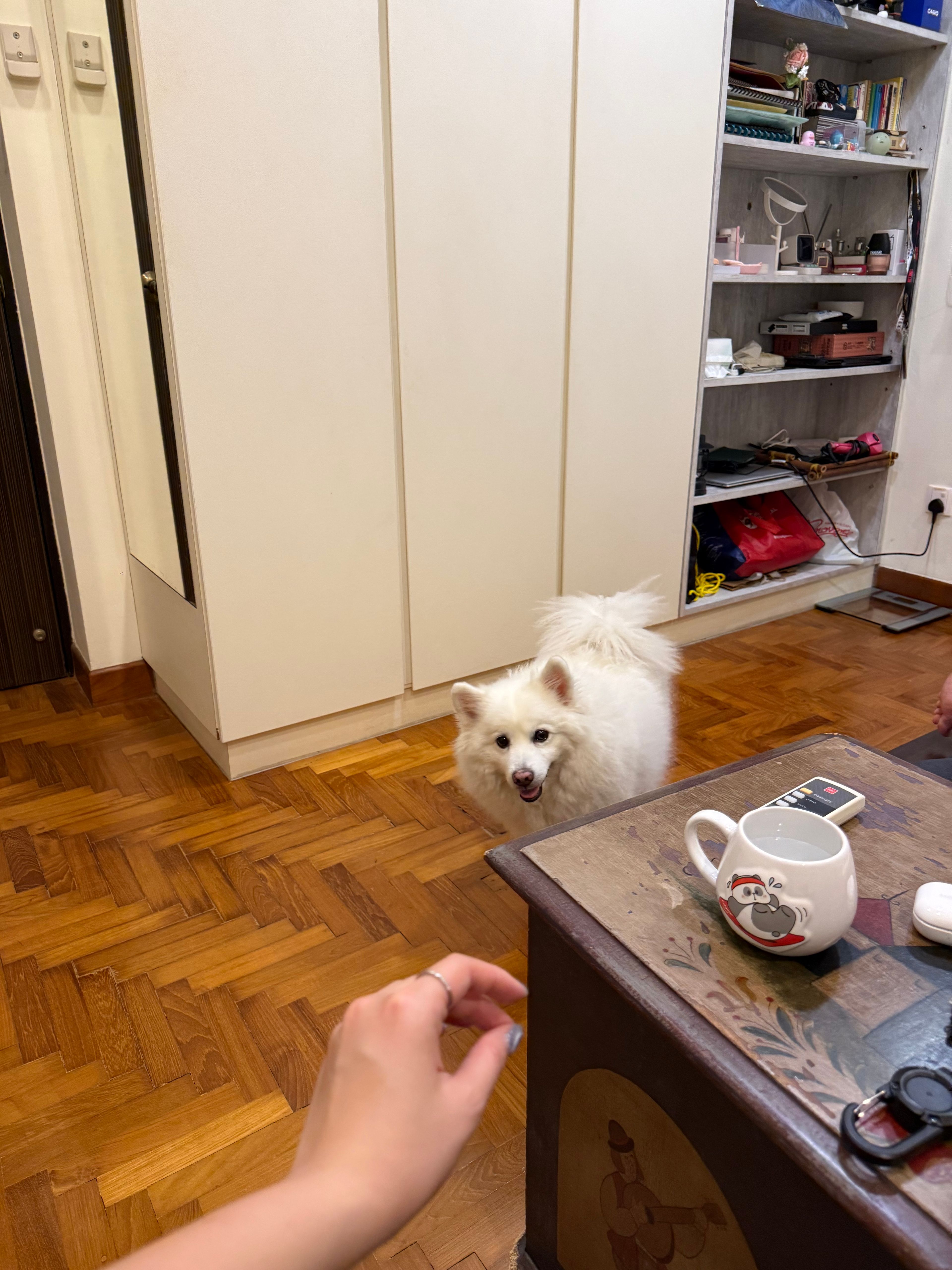 image-21