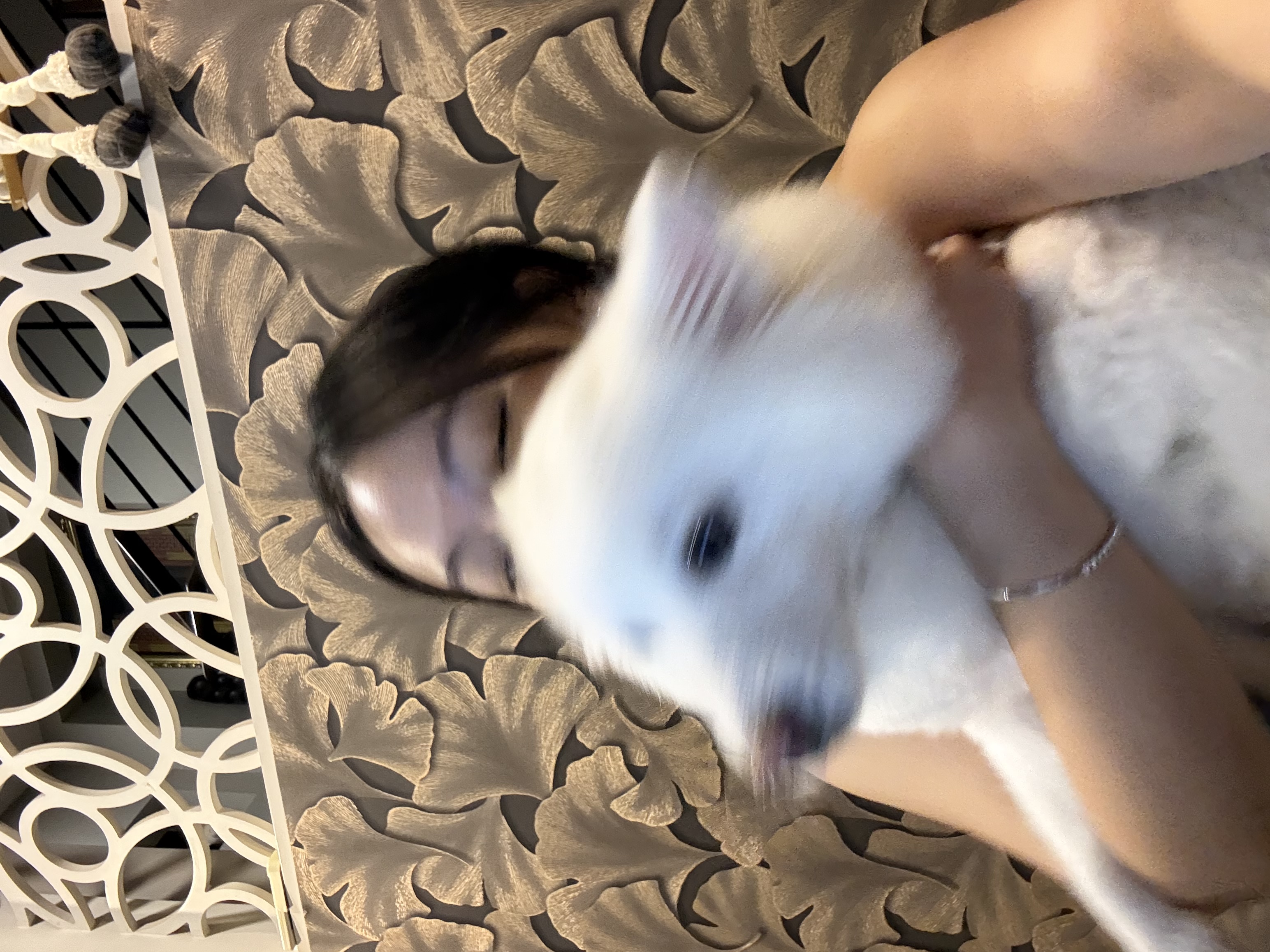 image-16