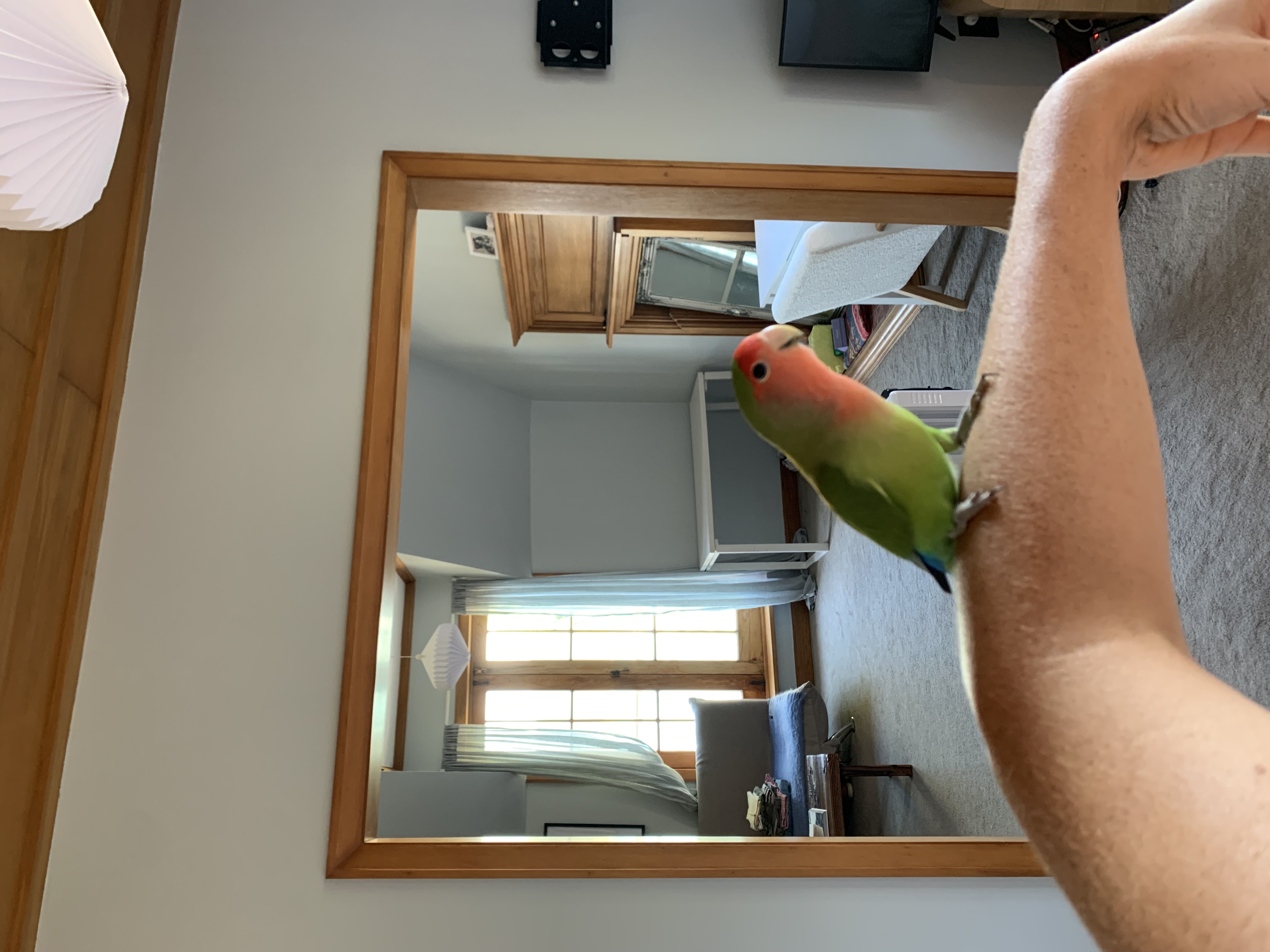image-13