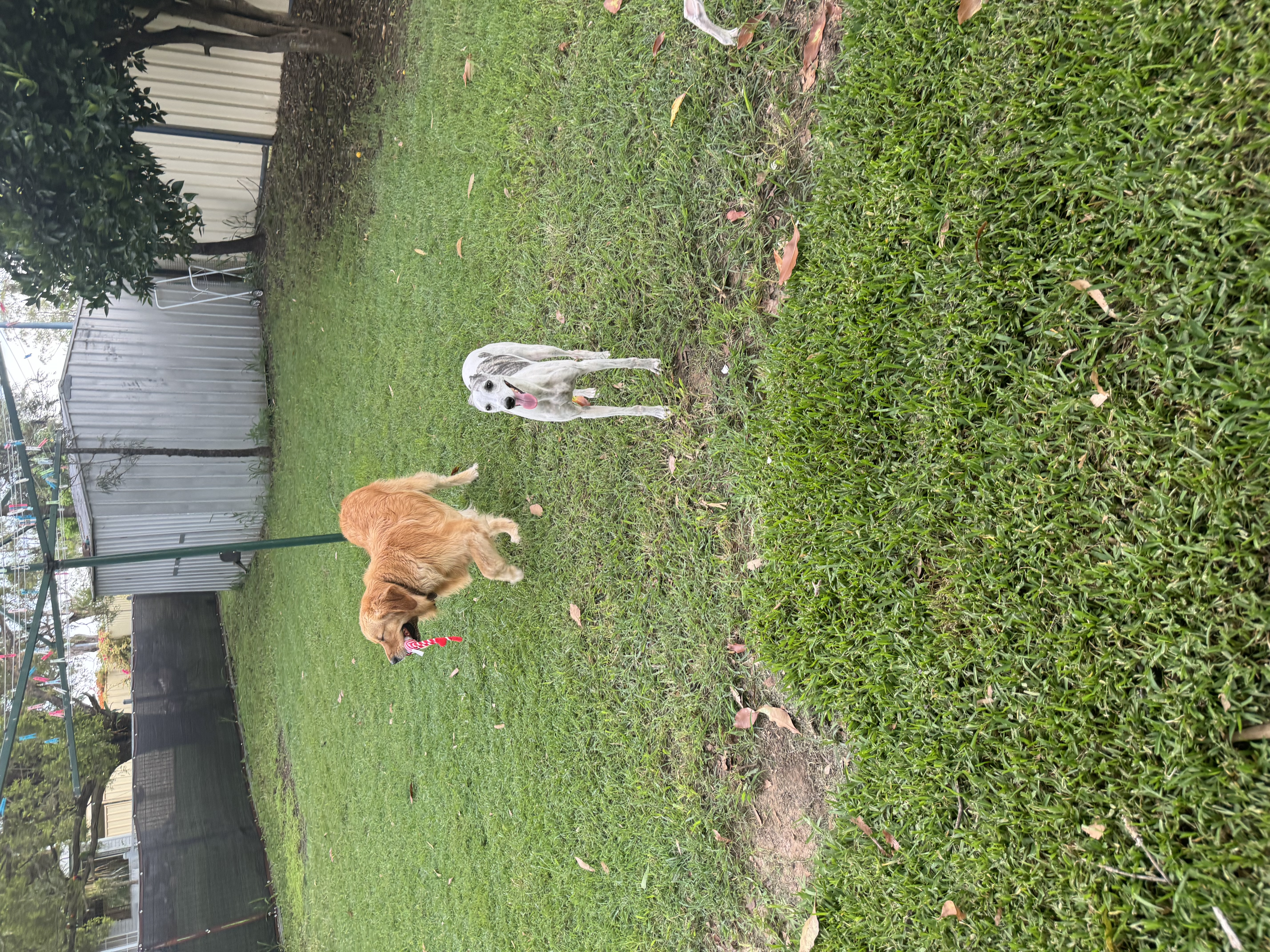 image-26