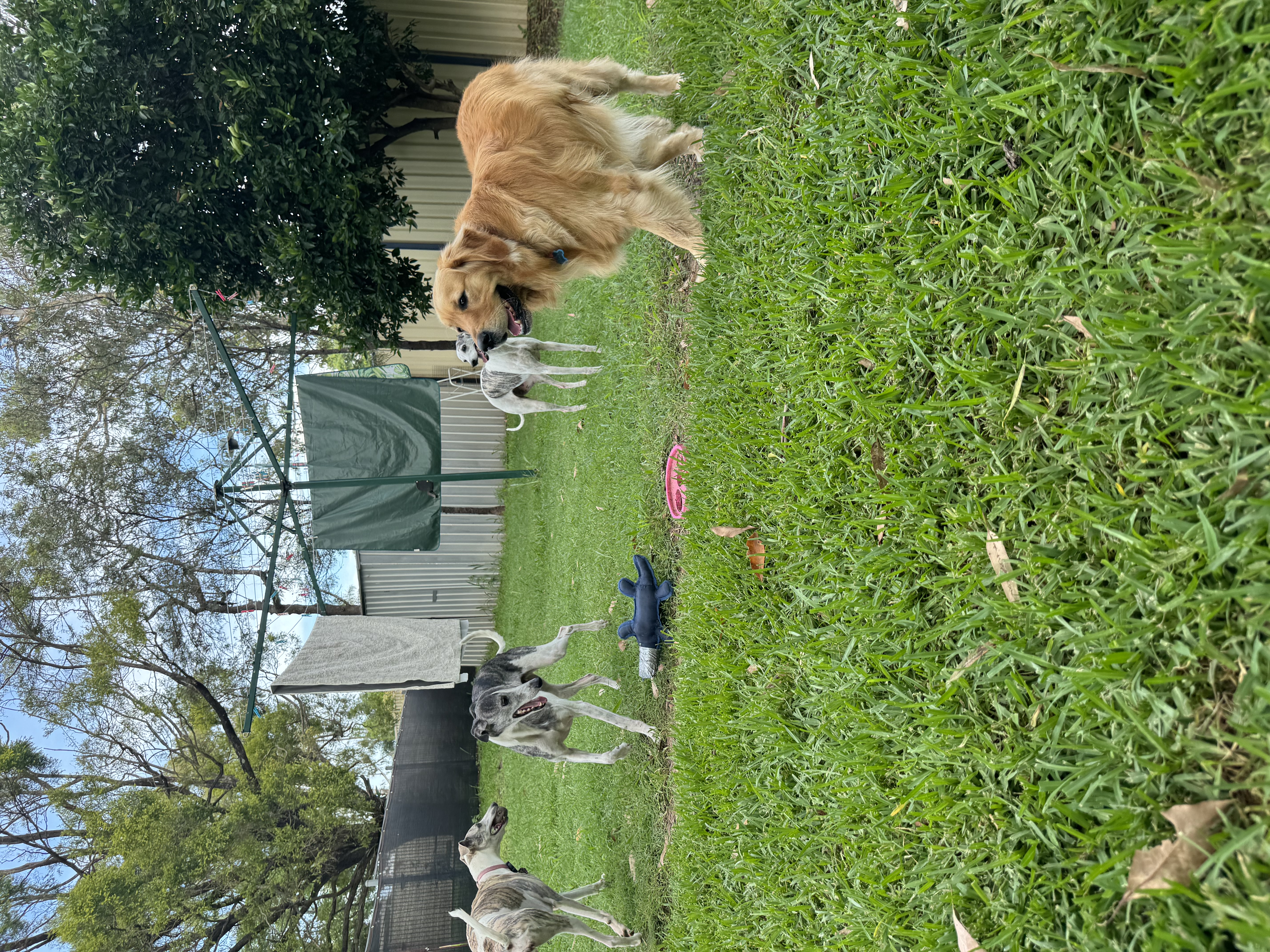 image-25