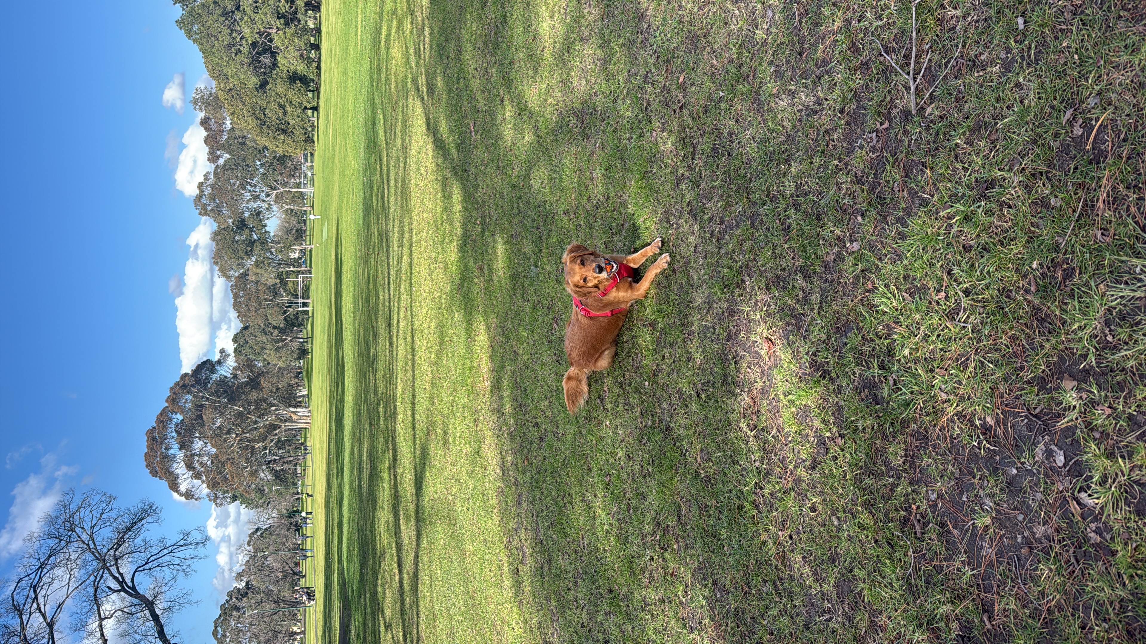 image-6