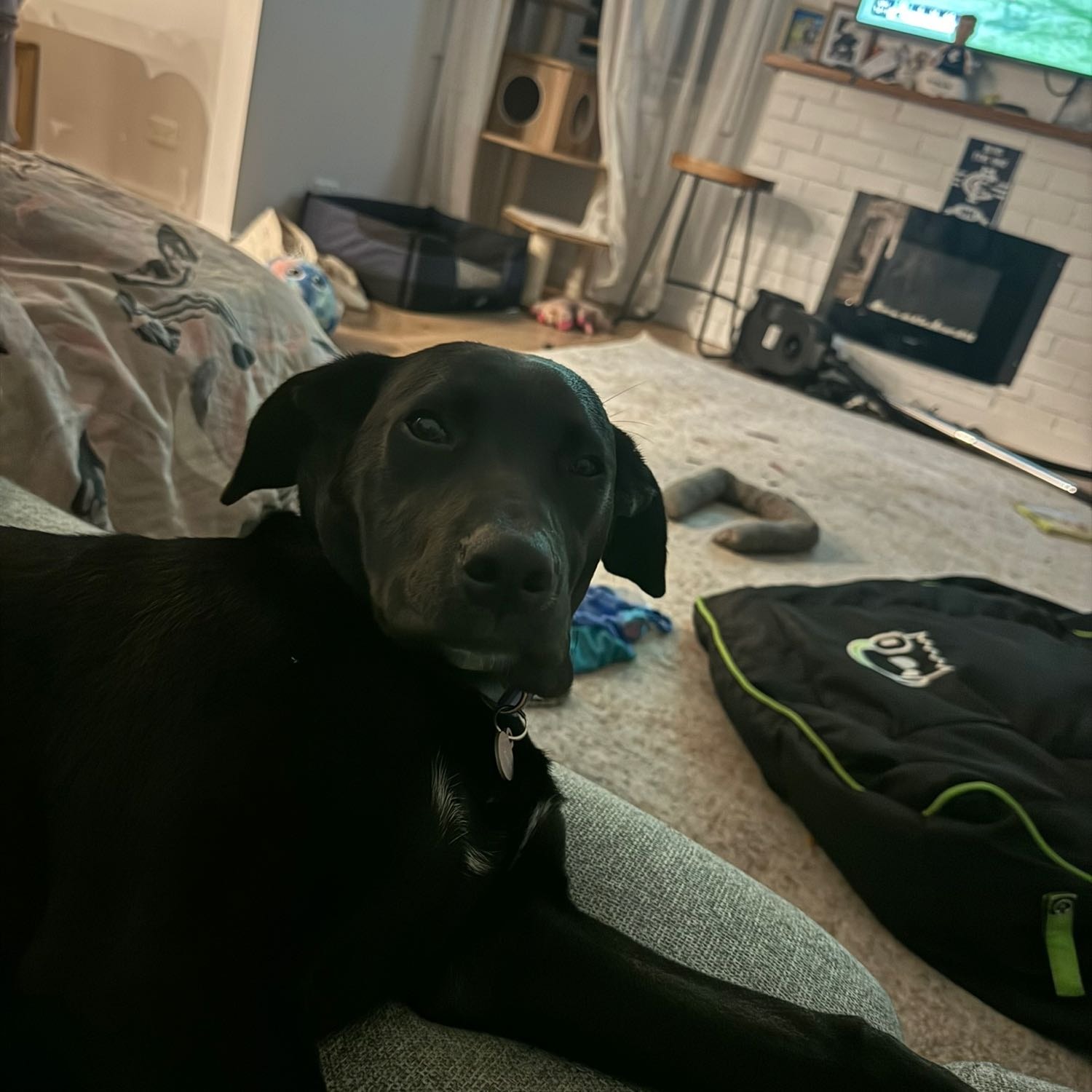 Lucy