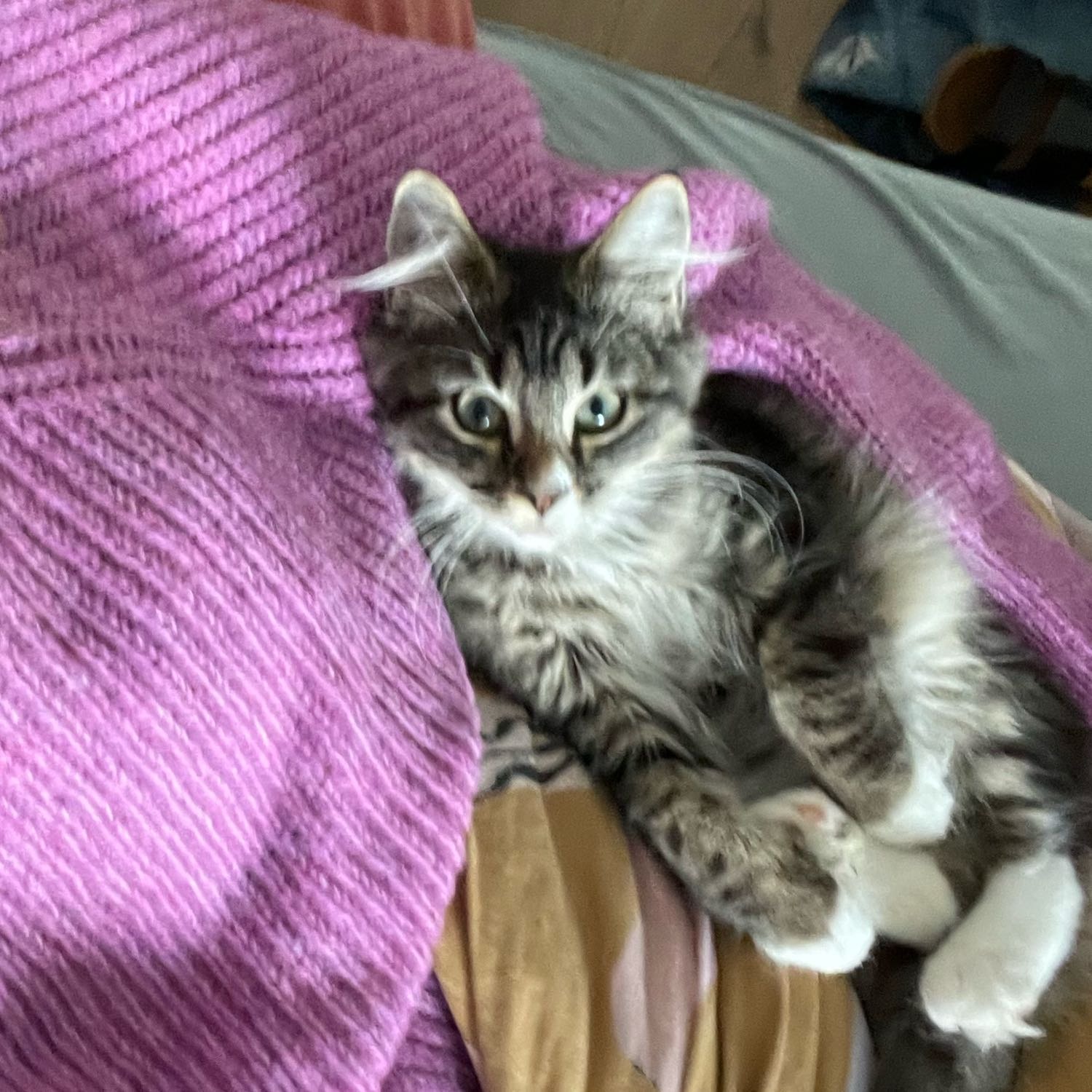 Pete