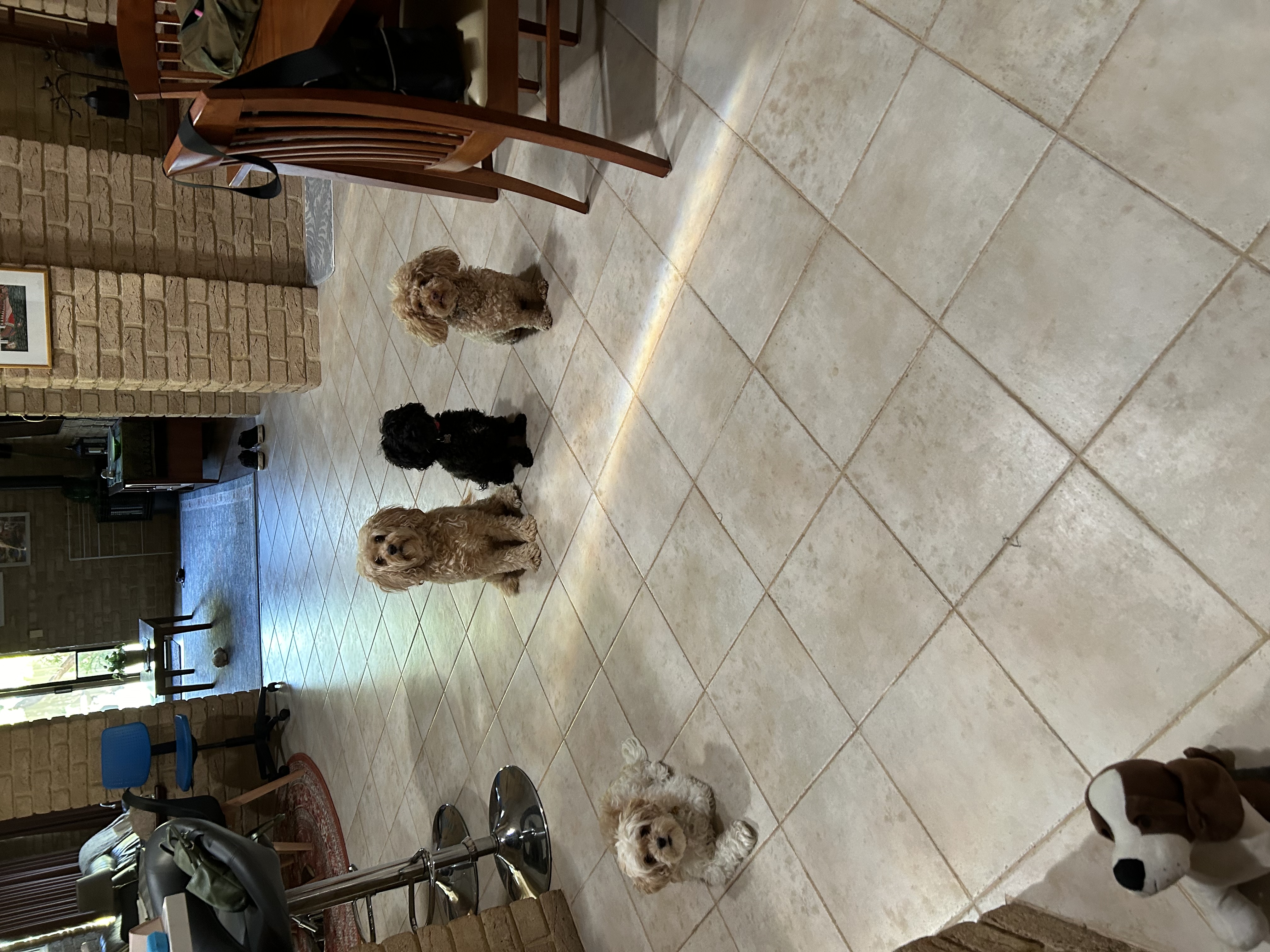 image-33