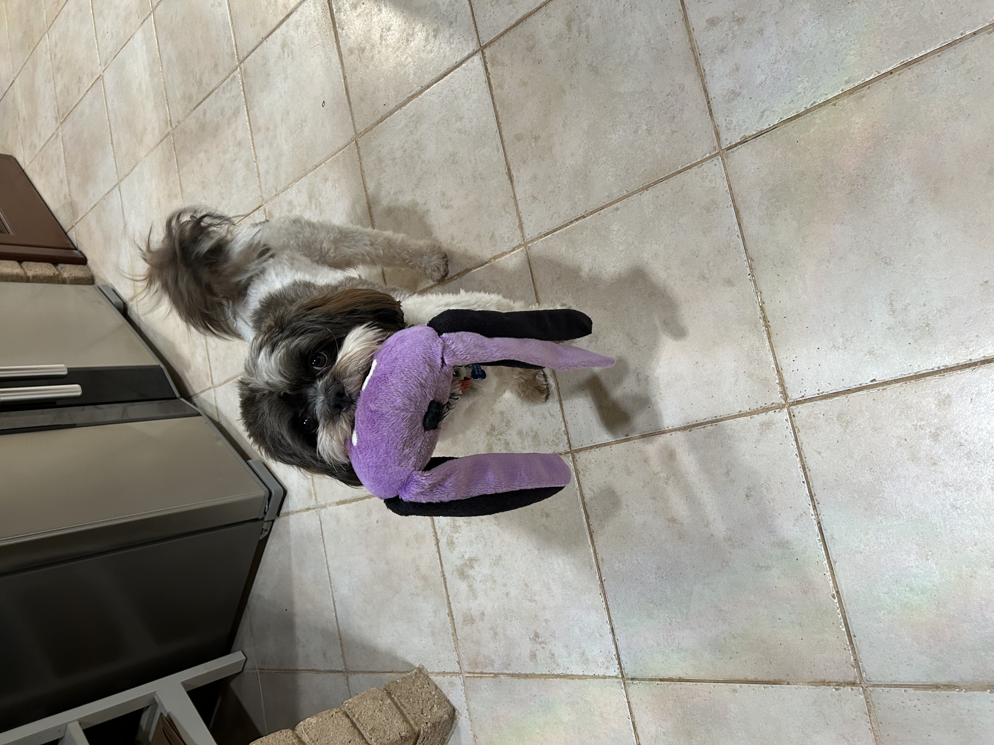 image-37