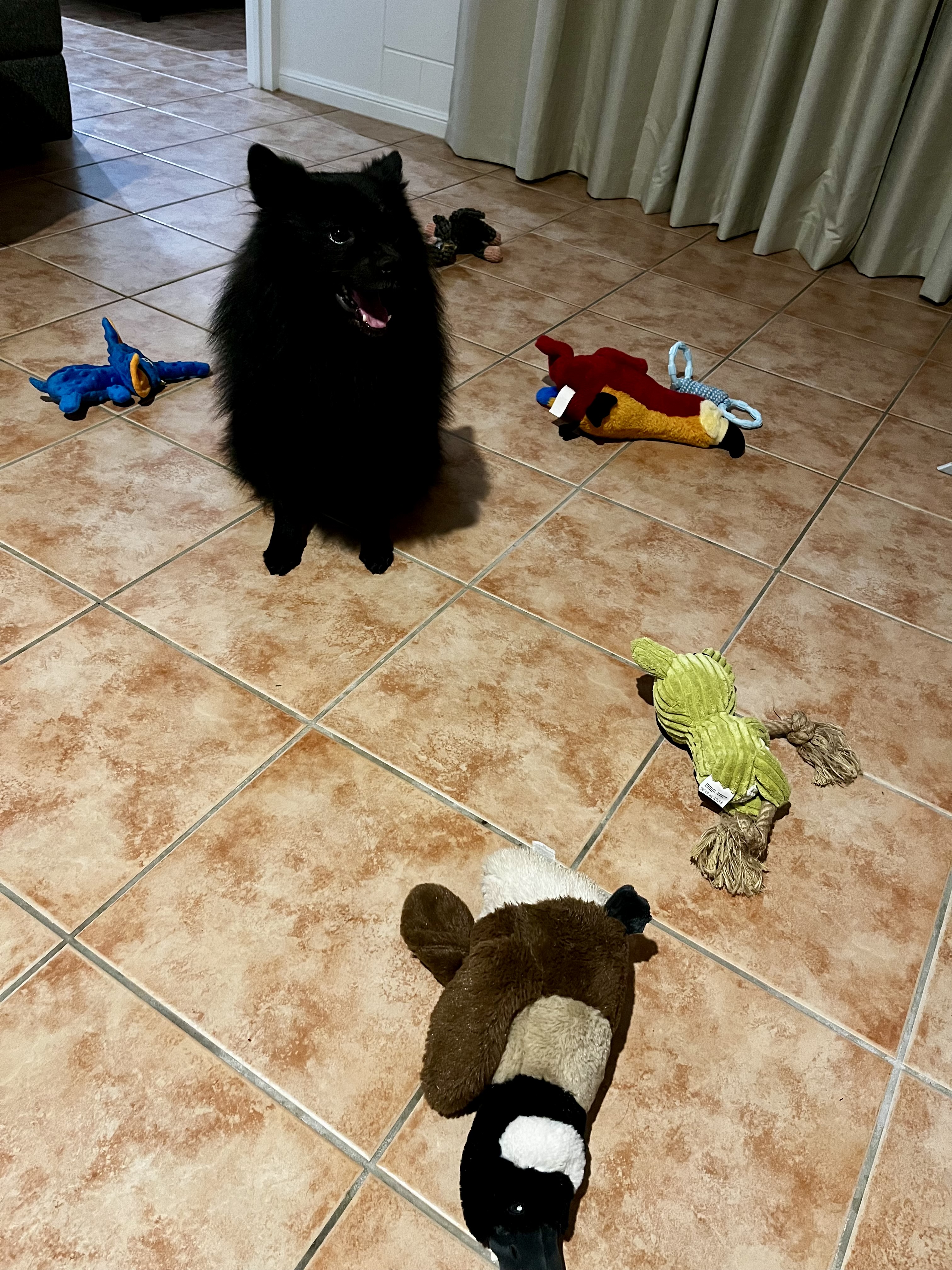image-12