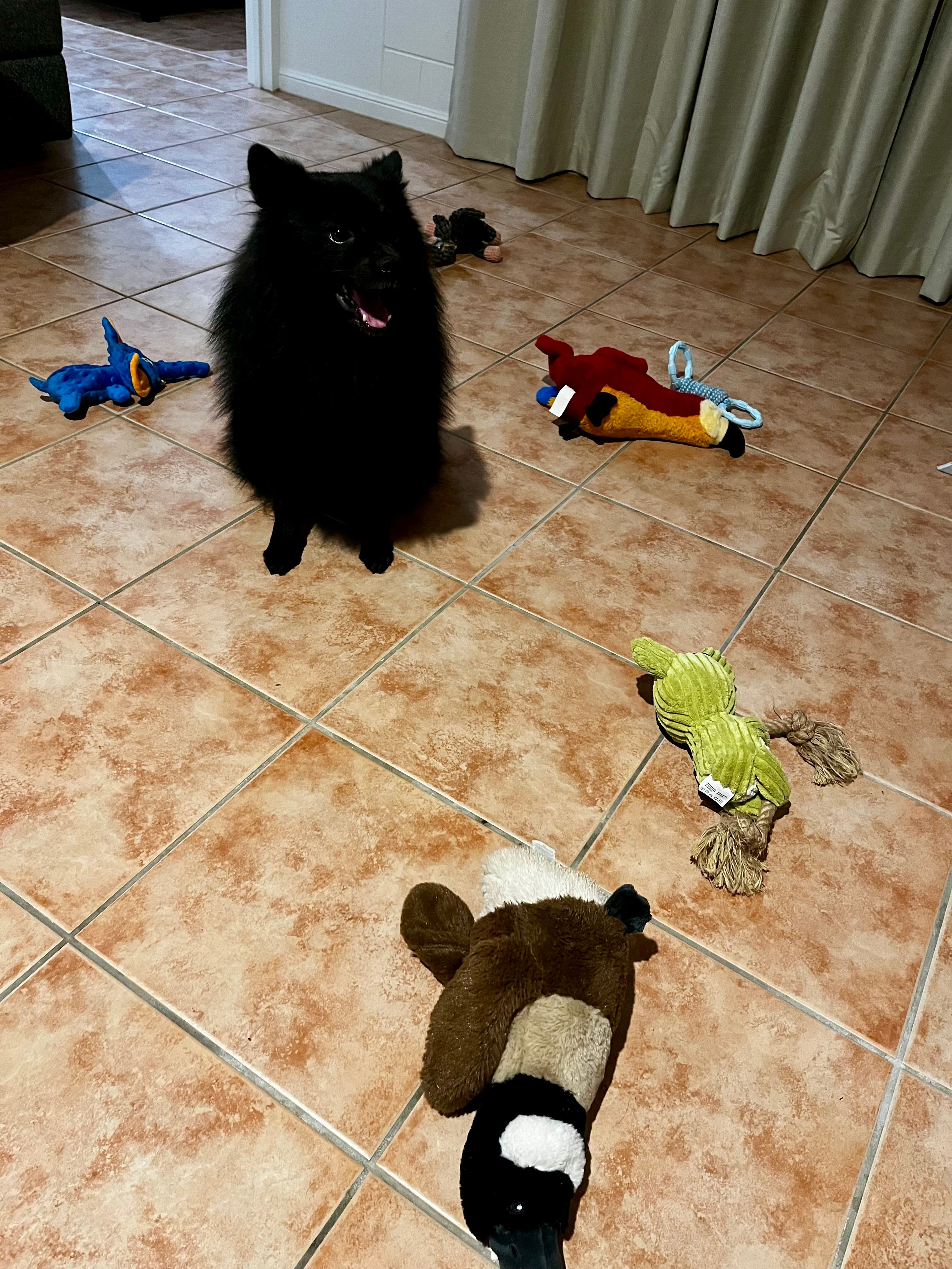image-12
