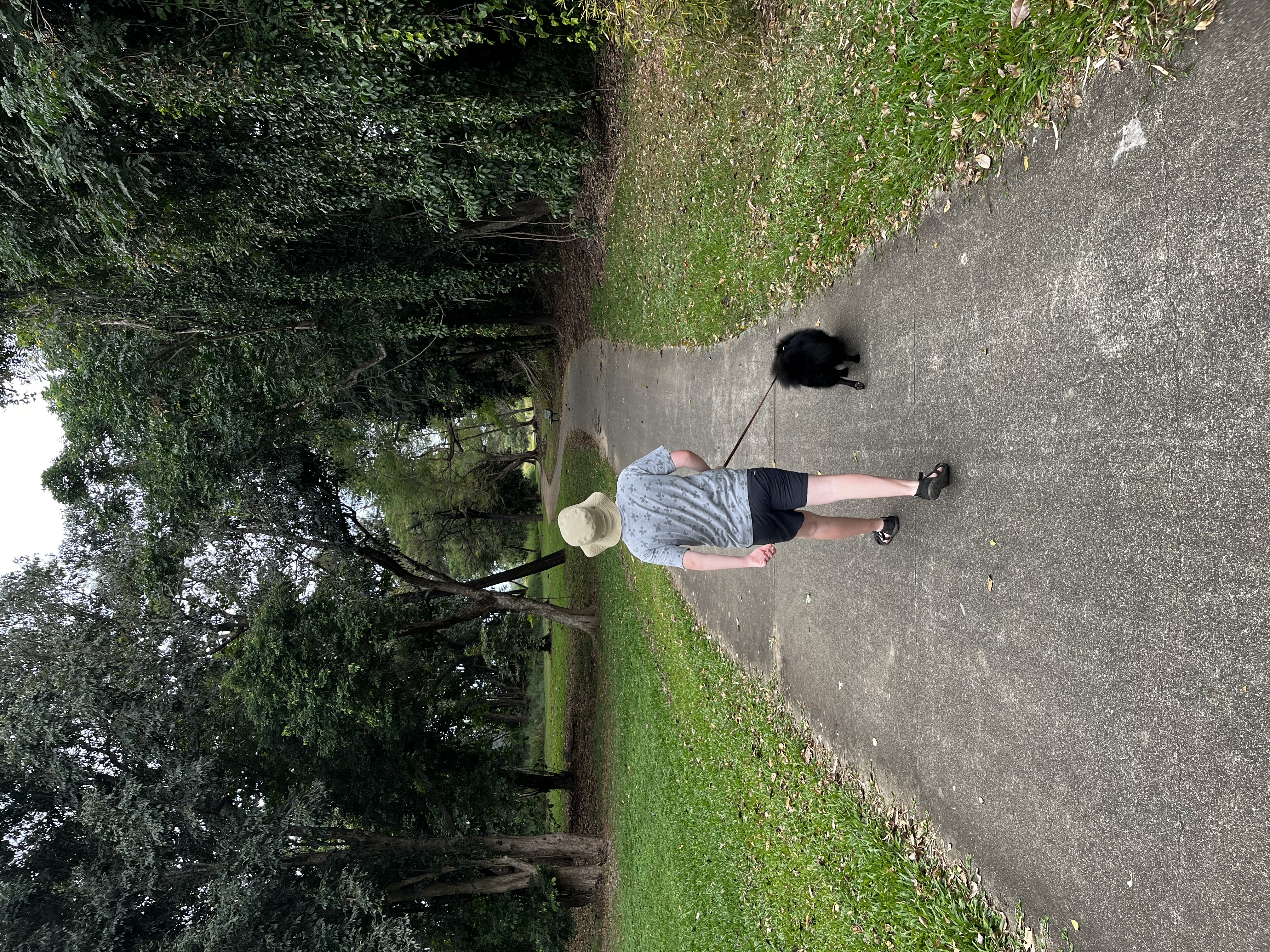 image-15