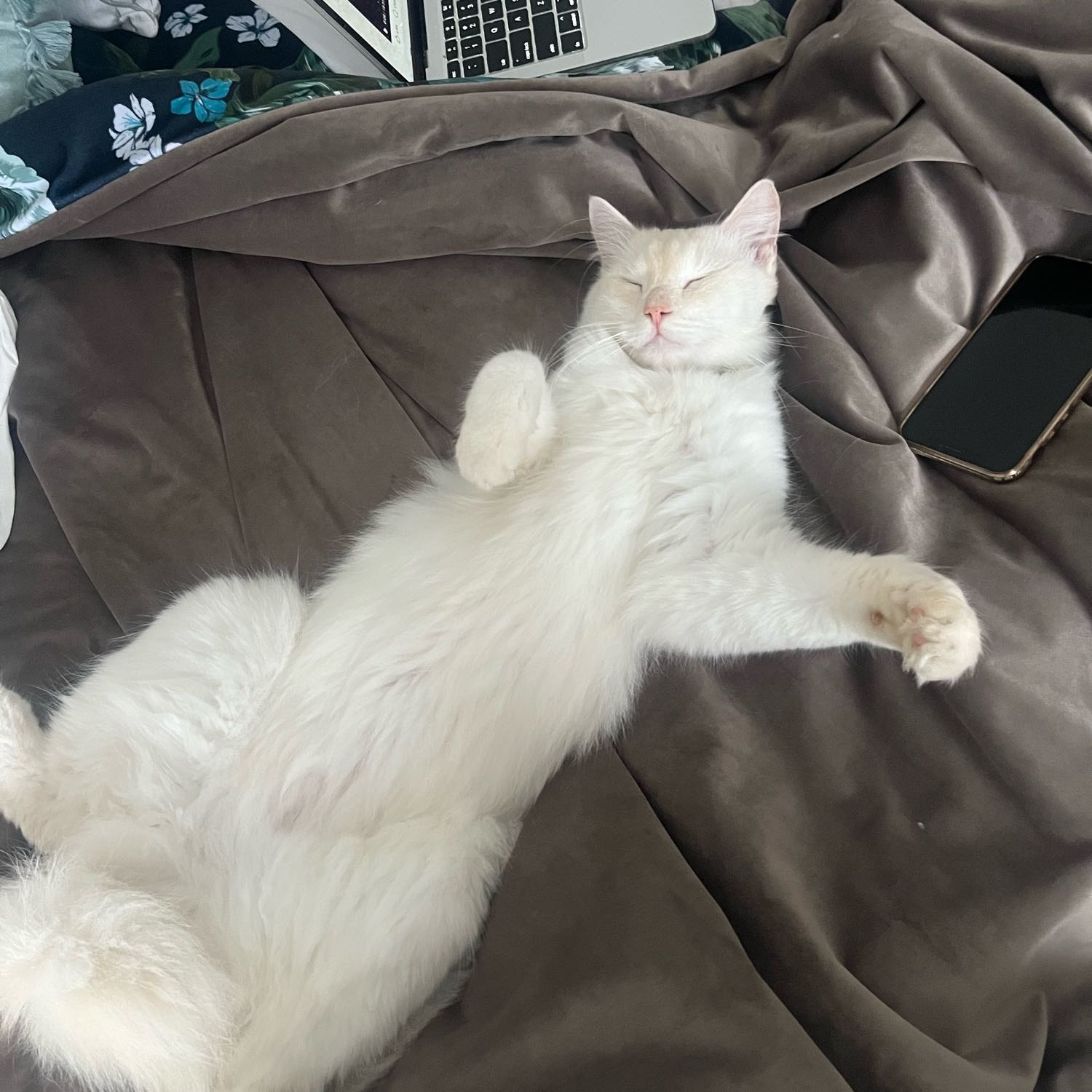 Marlo 