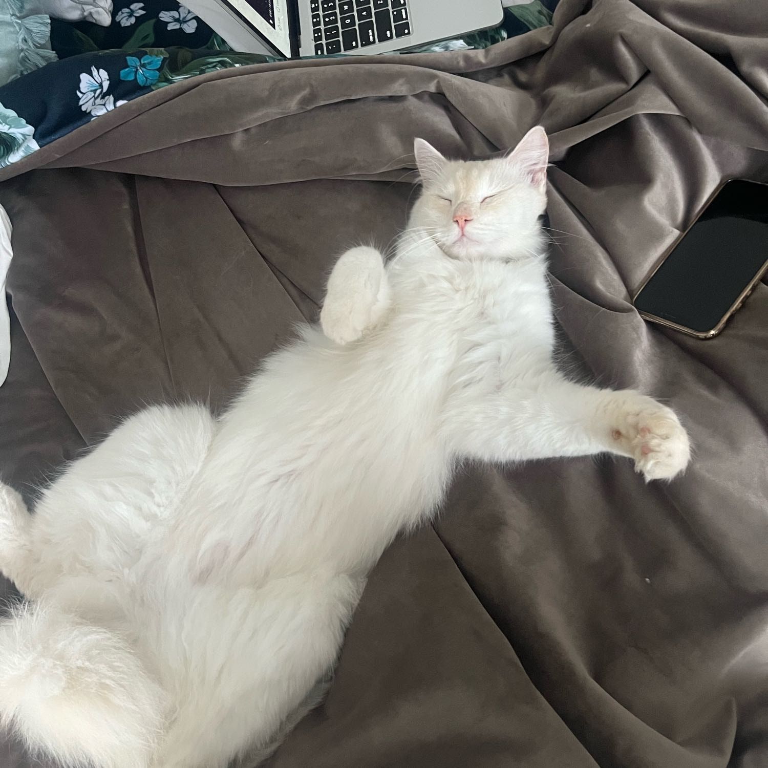 Marlo